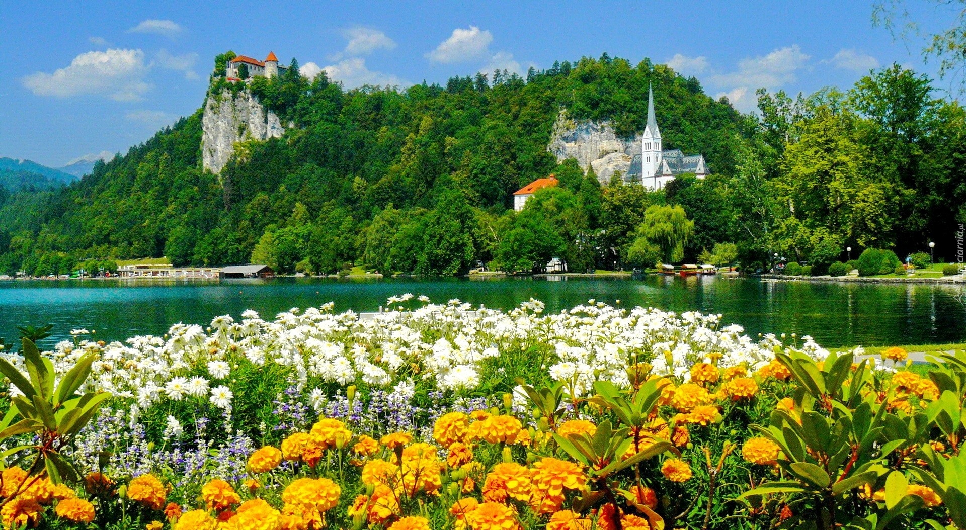 Kośclół, Zamek, Jezioro, Kwiaty, Bled, Słowenia