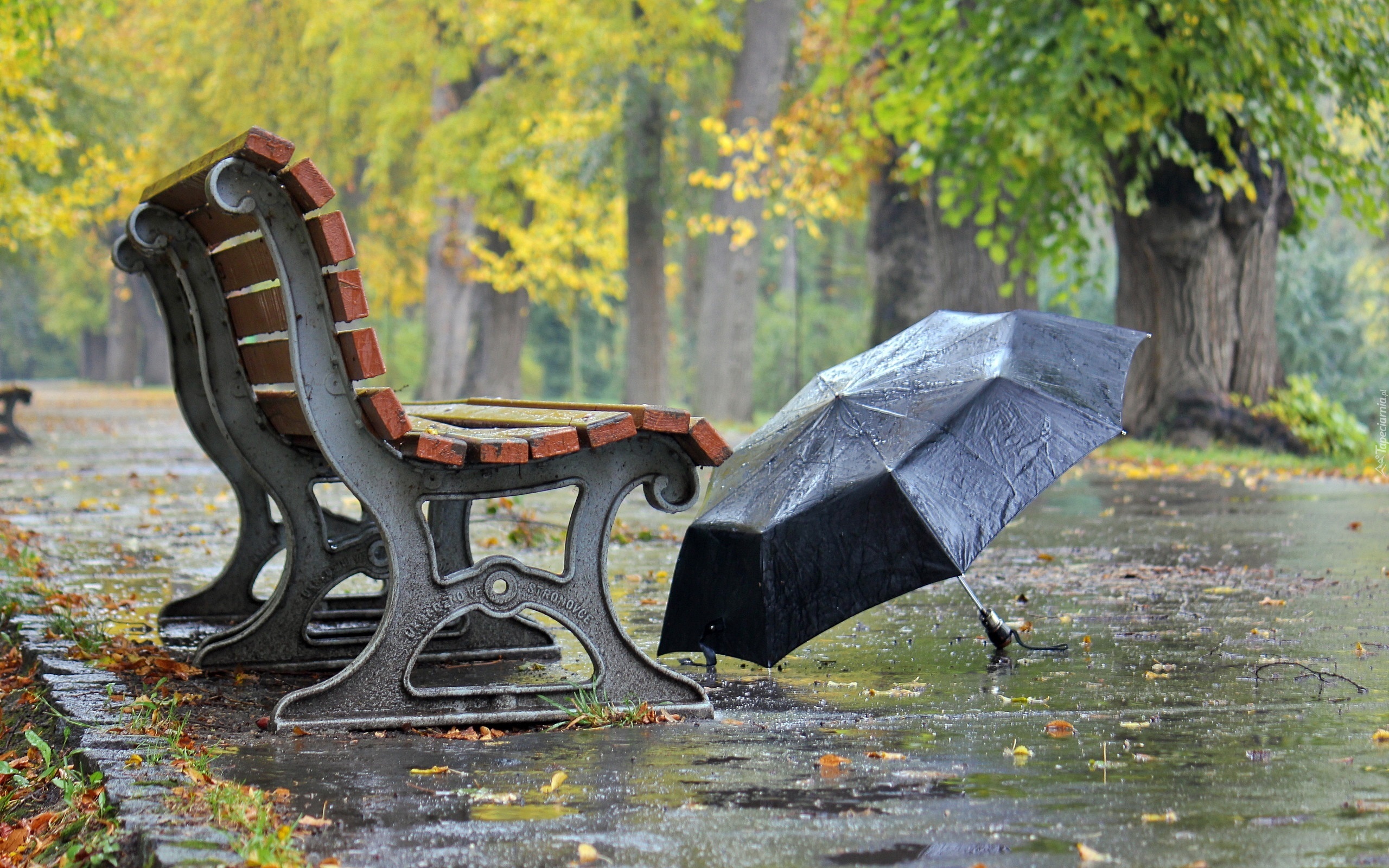 Park, Ławka, Parasol, Jesień, Deszcz