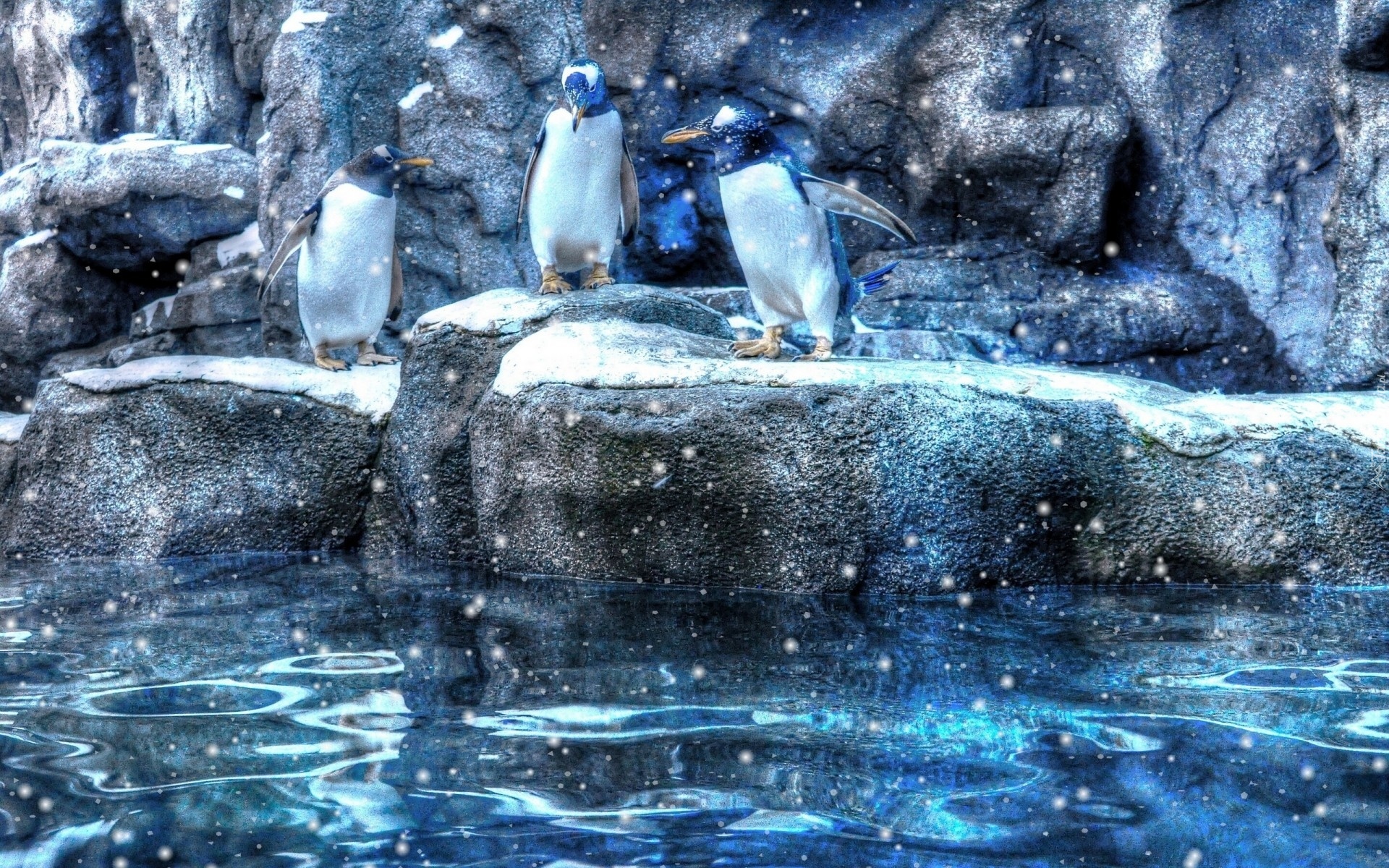 Trzy, Pingwiny, Skały