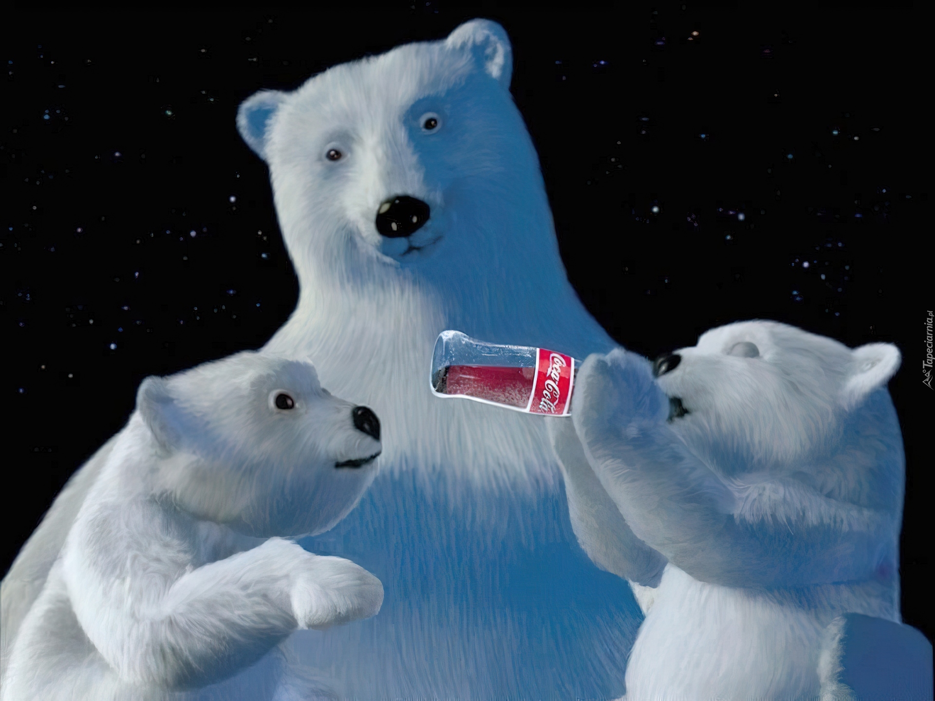 Boże Narodzenie,Coca Cola , niedźwiadki