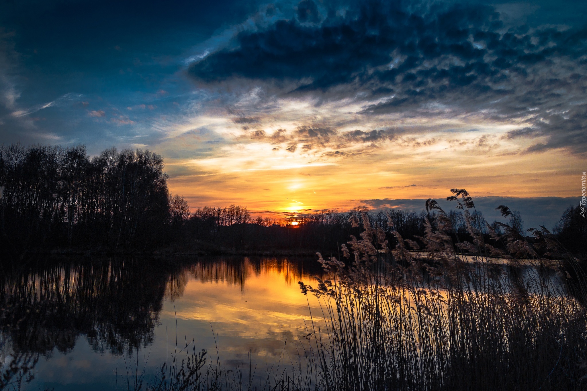 Zachód, Słońca, Jezioro, Szuwary