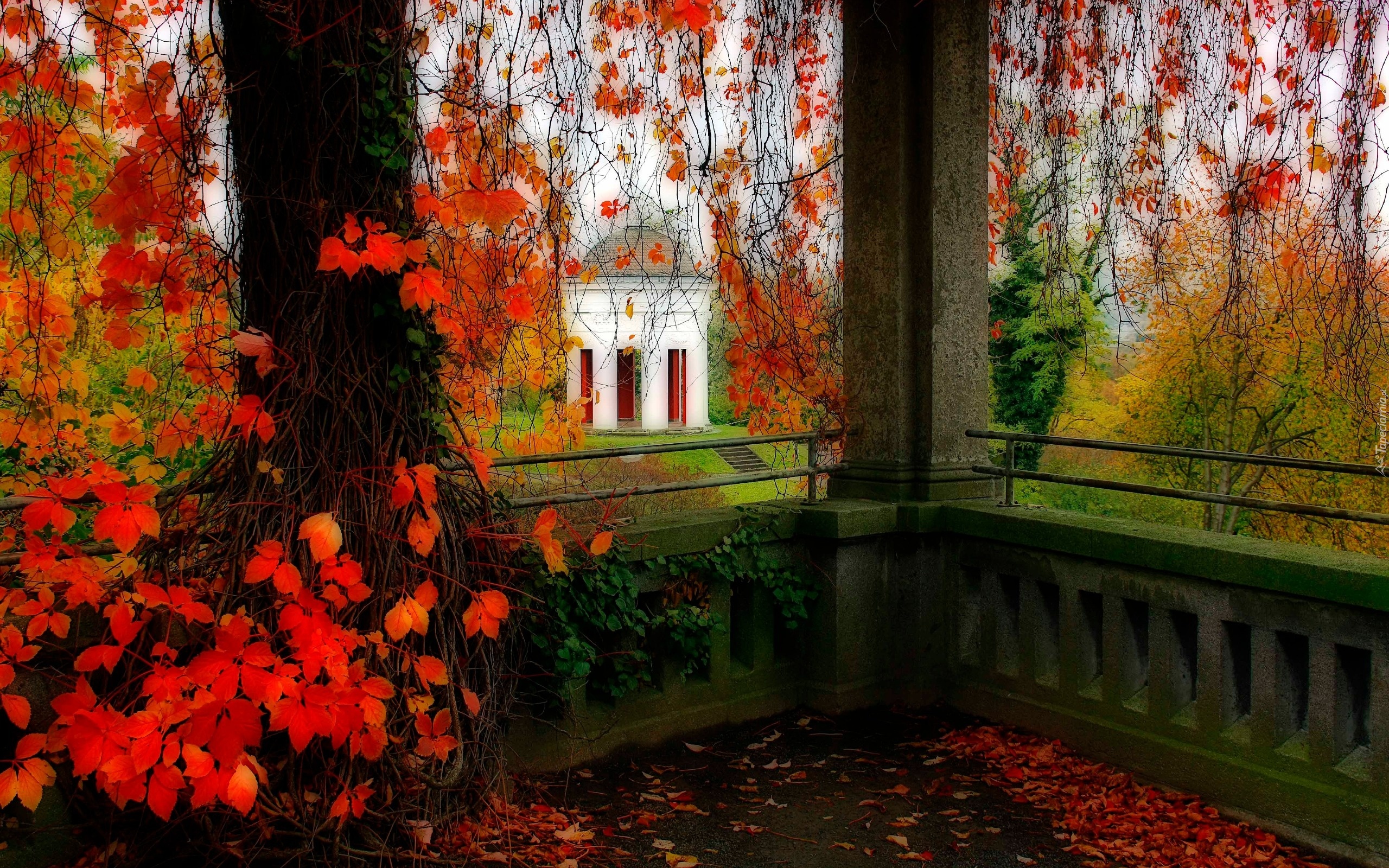 Park, Altana, Drzewa, Jesień