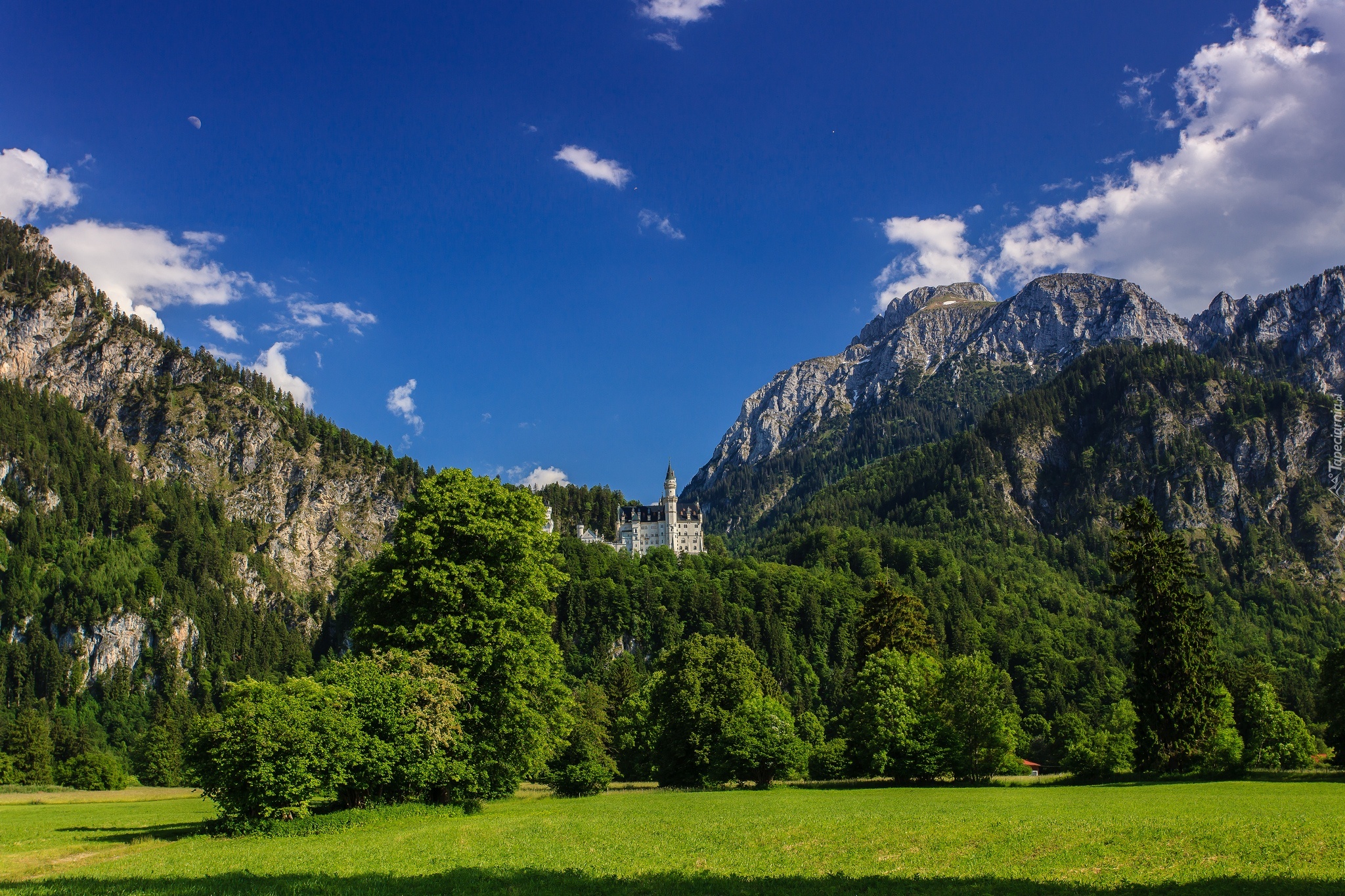 Zamek, Neuschwanstein, Bawaria, Niemcy