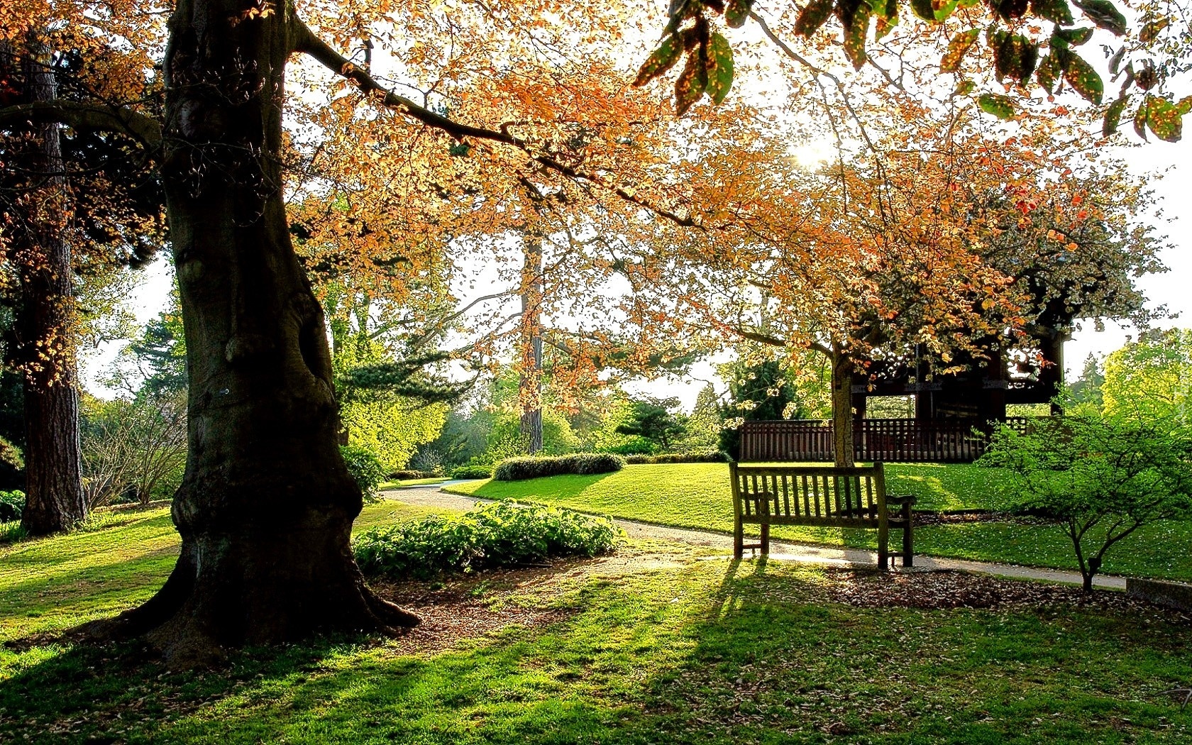 Jesień, Park, Ławeczka