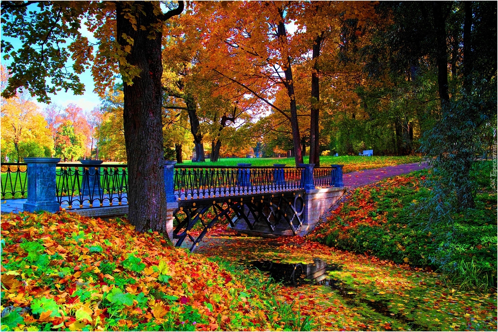 Park, Most, Jesień