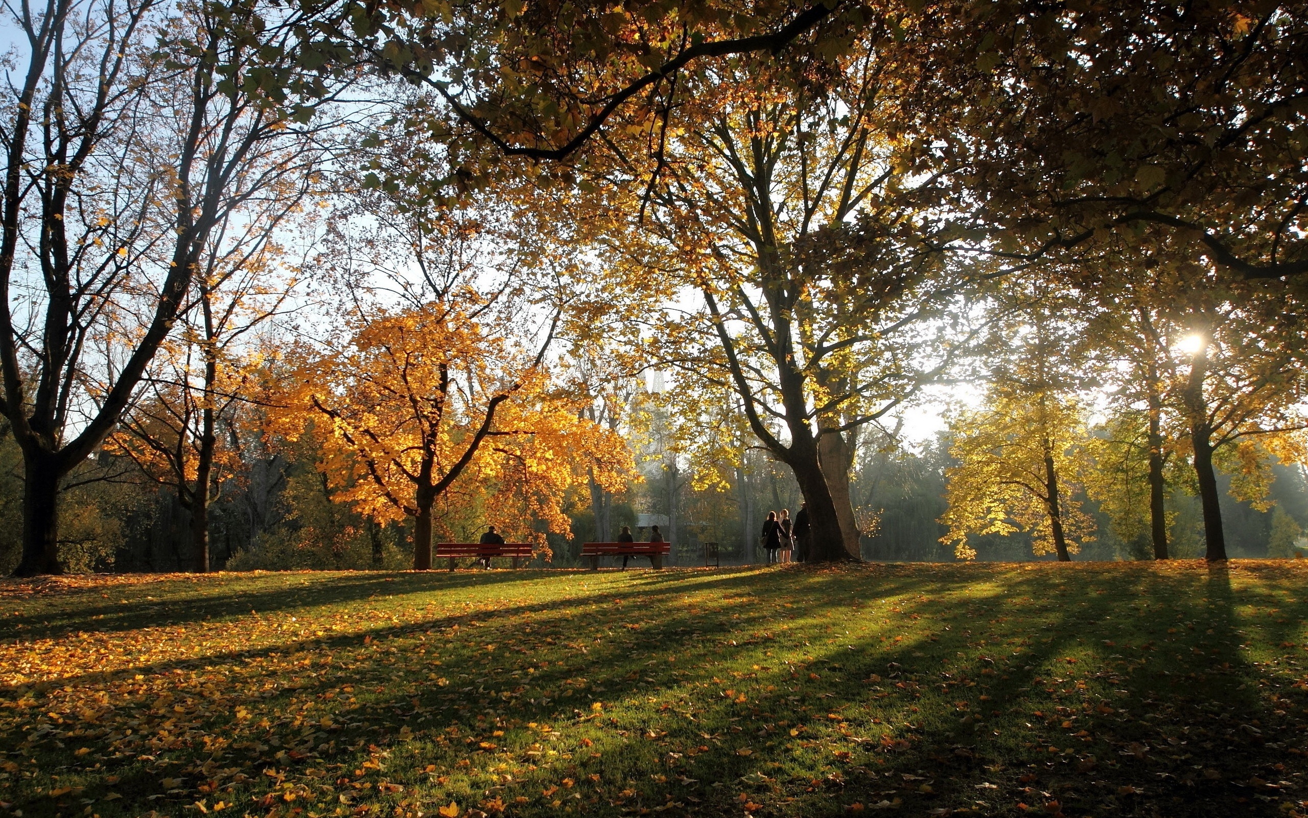 Park, Ludzie, Przebijające, Światło, Liście, Jesień