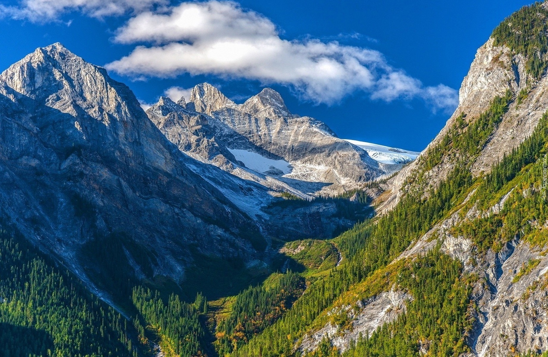 Góry, Chmury, Drzewa