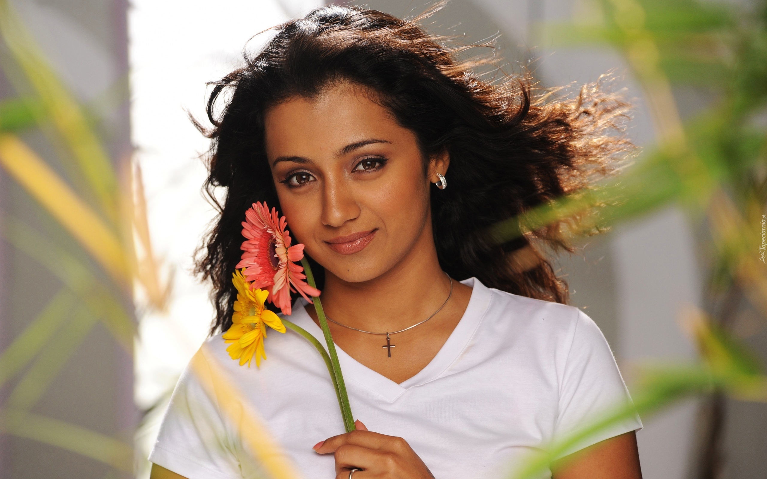 Trisha Krishnan, Brunetka, Kwiatki