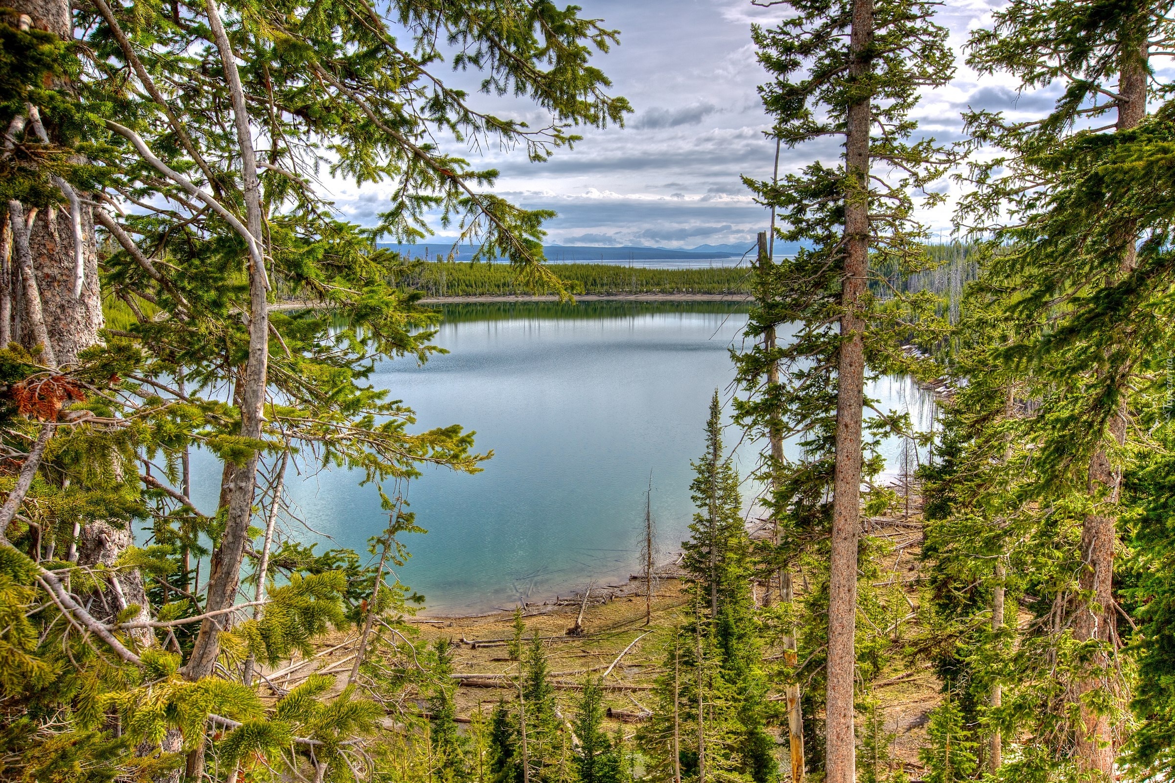 Stany Zjednoczone, Park Narodowy Yellowstone, Jeziora, Lasy, Krajobraz