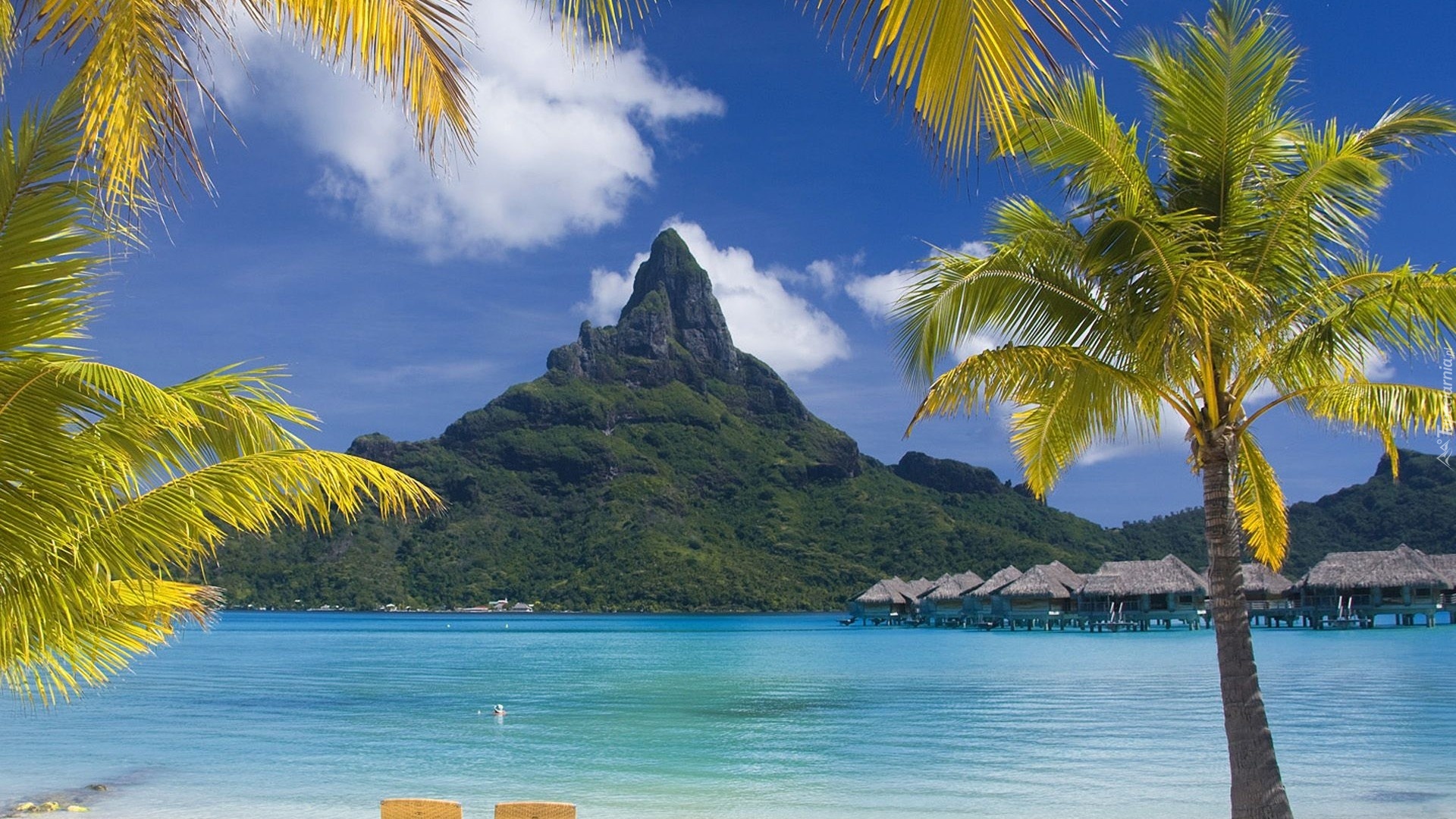 Góra, Morze, Palmy, Bora Bora