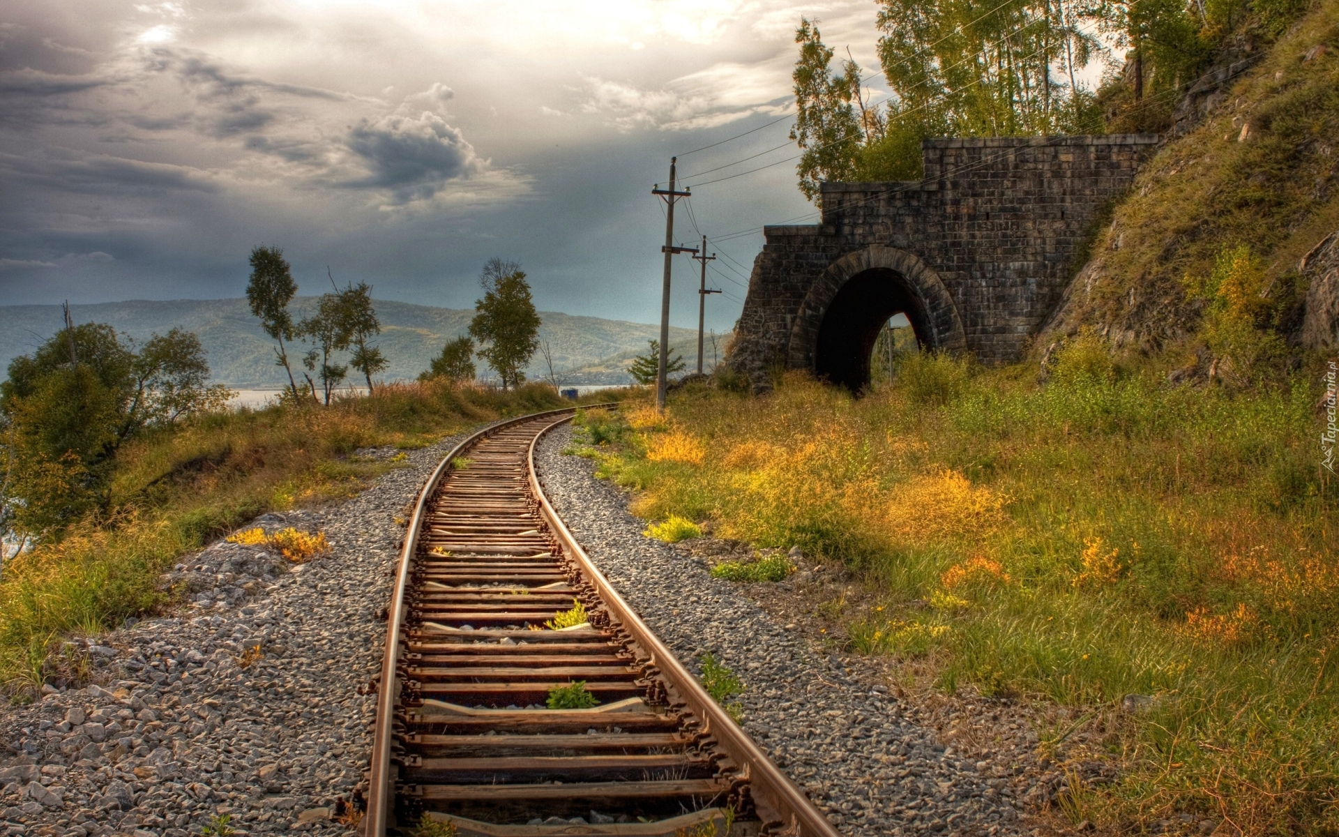 Tor, Kolejowy, Tunel, Rośliny