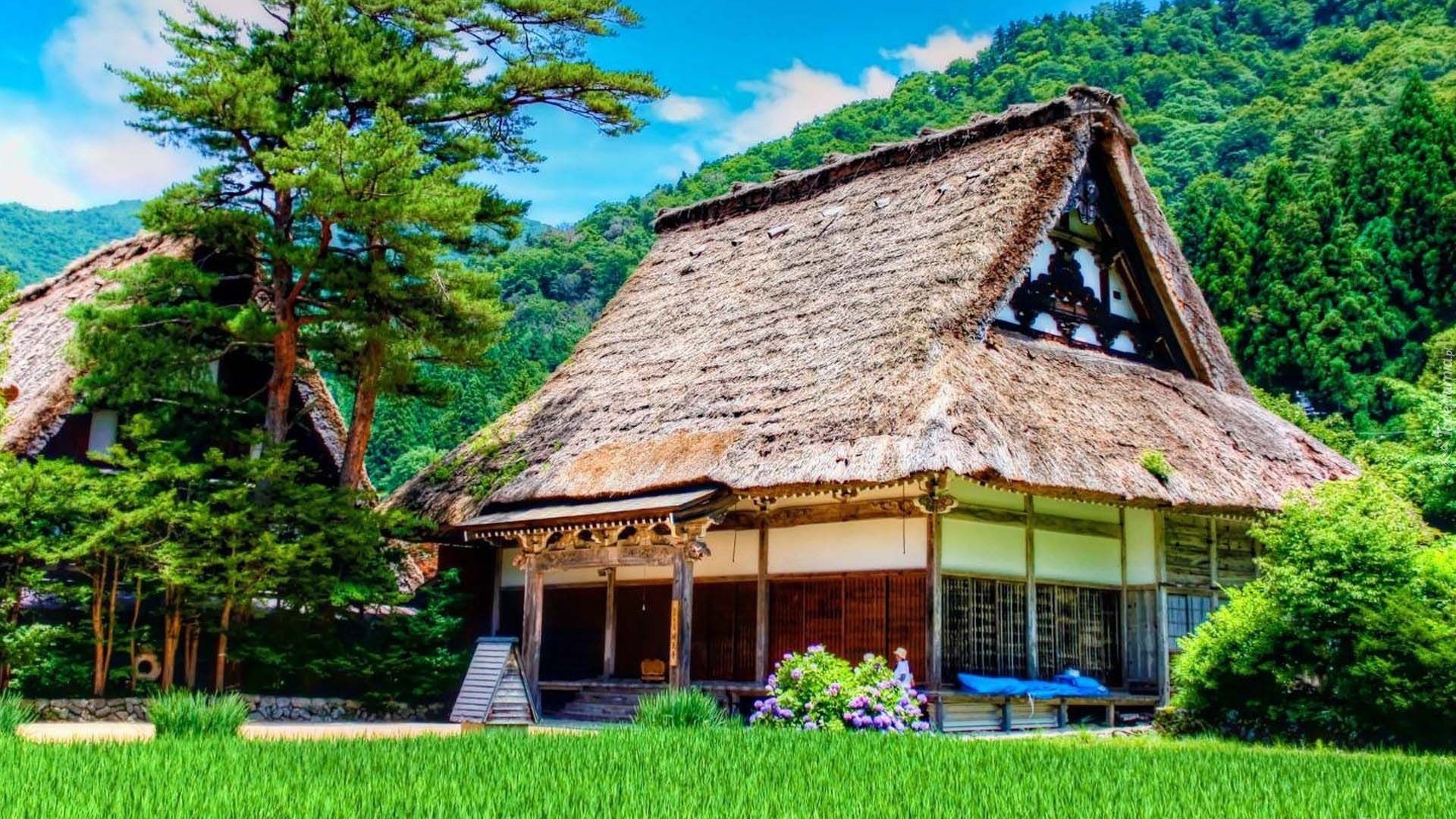 Dom, Ogród, Japonia