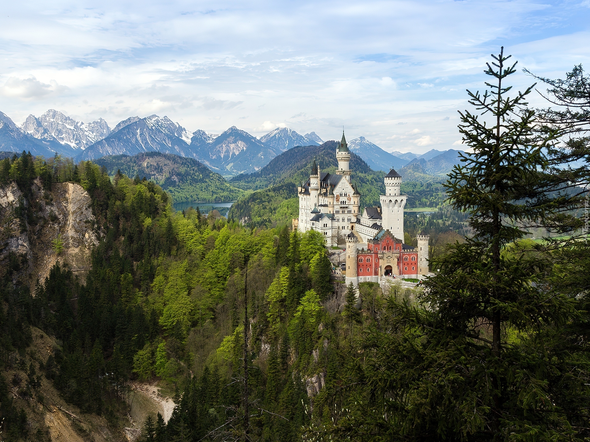 Zamek, Neuschwanstein, Góry, Lasy