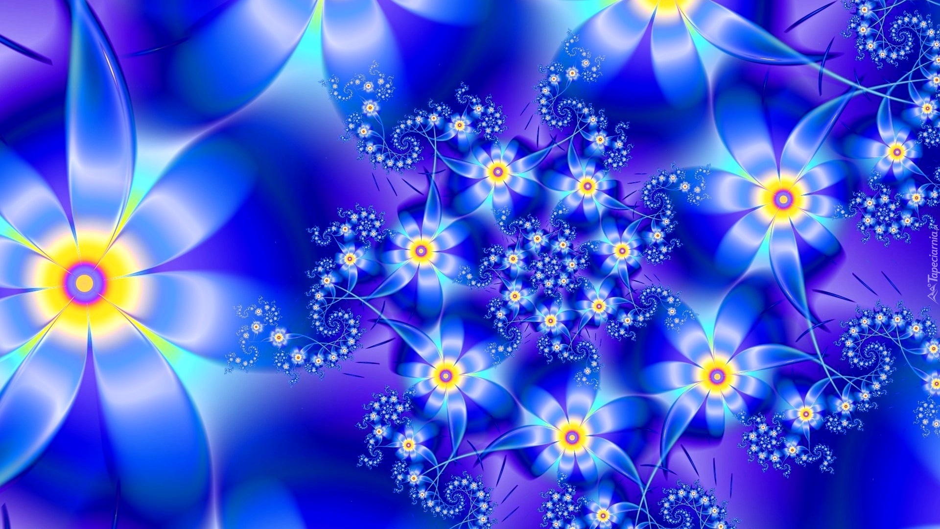 Abstrakcja, Niebieskie, Kwiaty