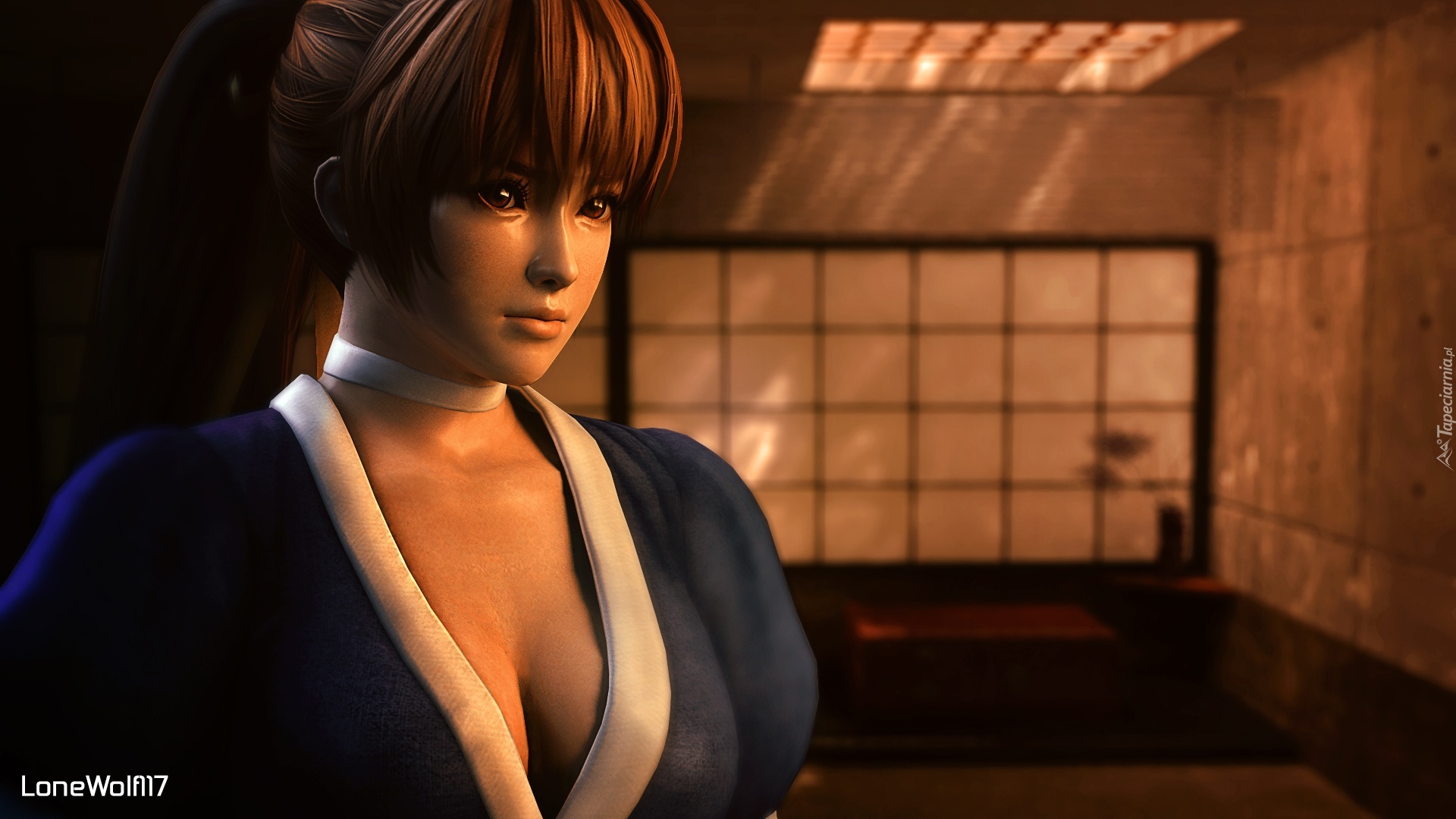 Dead Or Alive 5, Kasumi