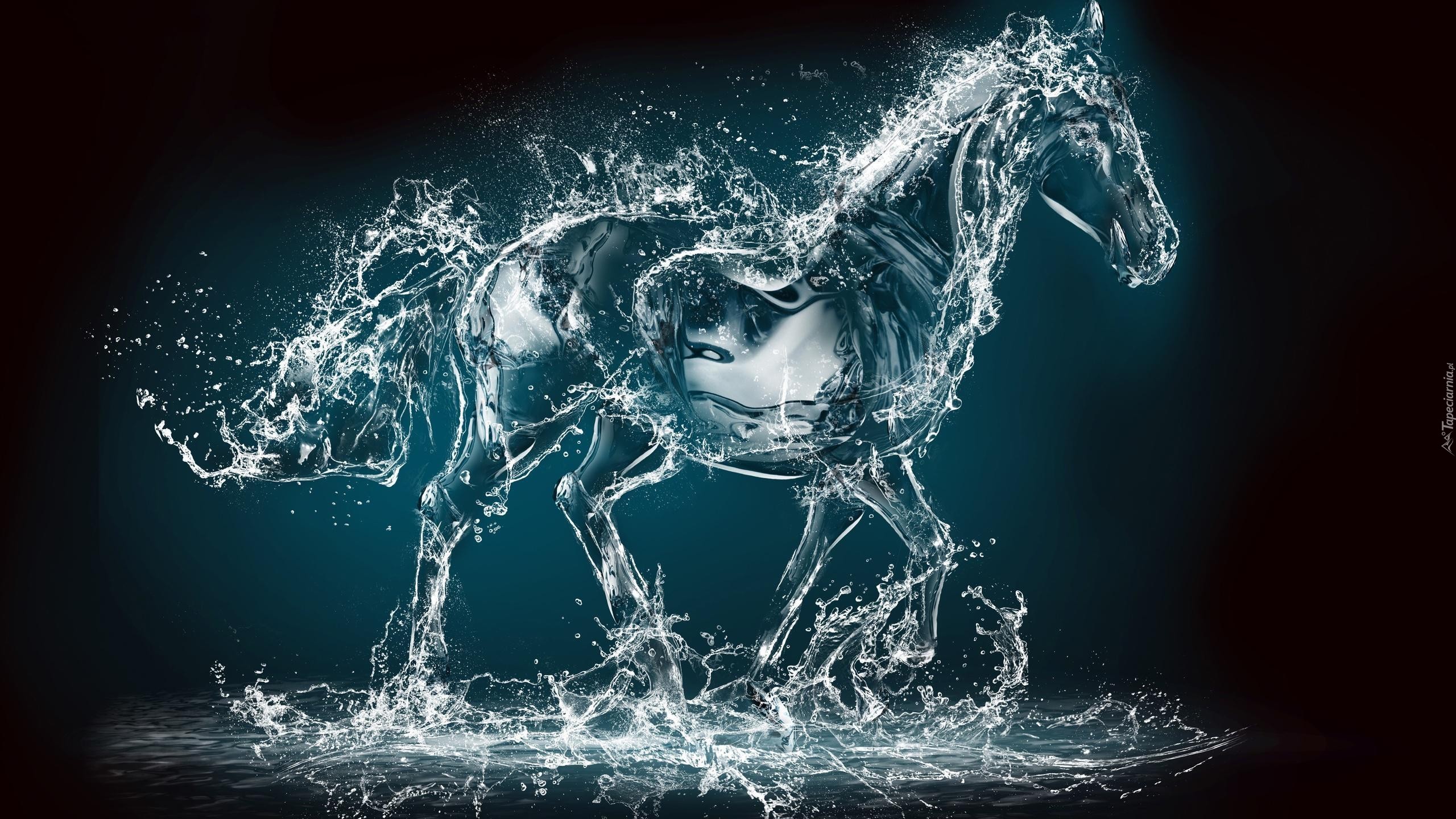 Abstrakcja, Koń, Woda