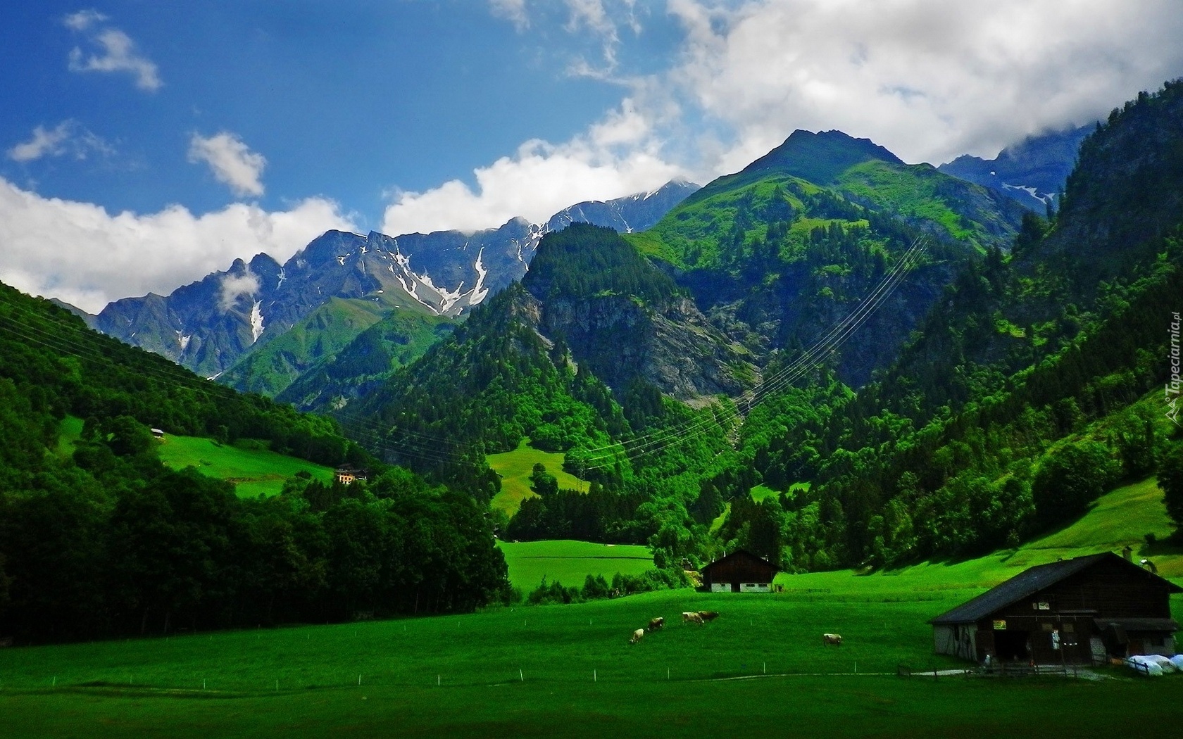 Góry, Lasy, Łąki, Zwierzęta, Domy