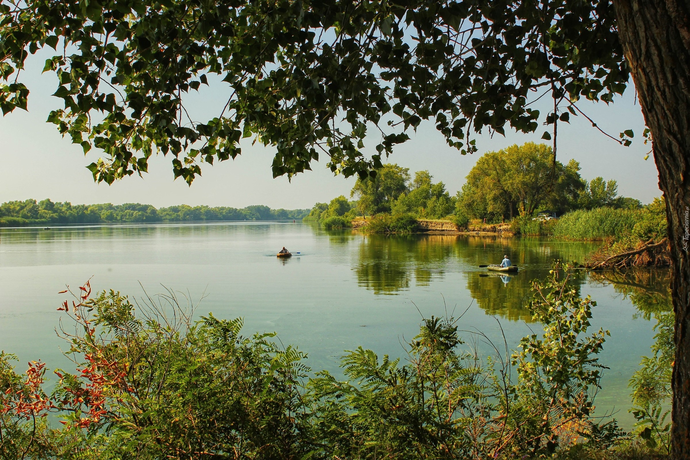 Rzeka, Wędkarze, Lasy, Lato