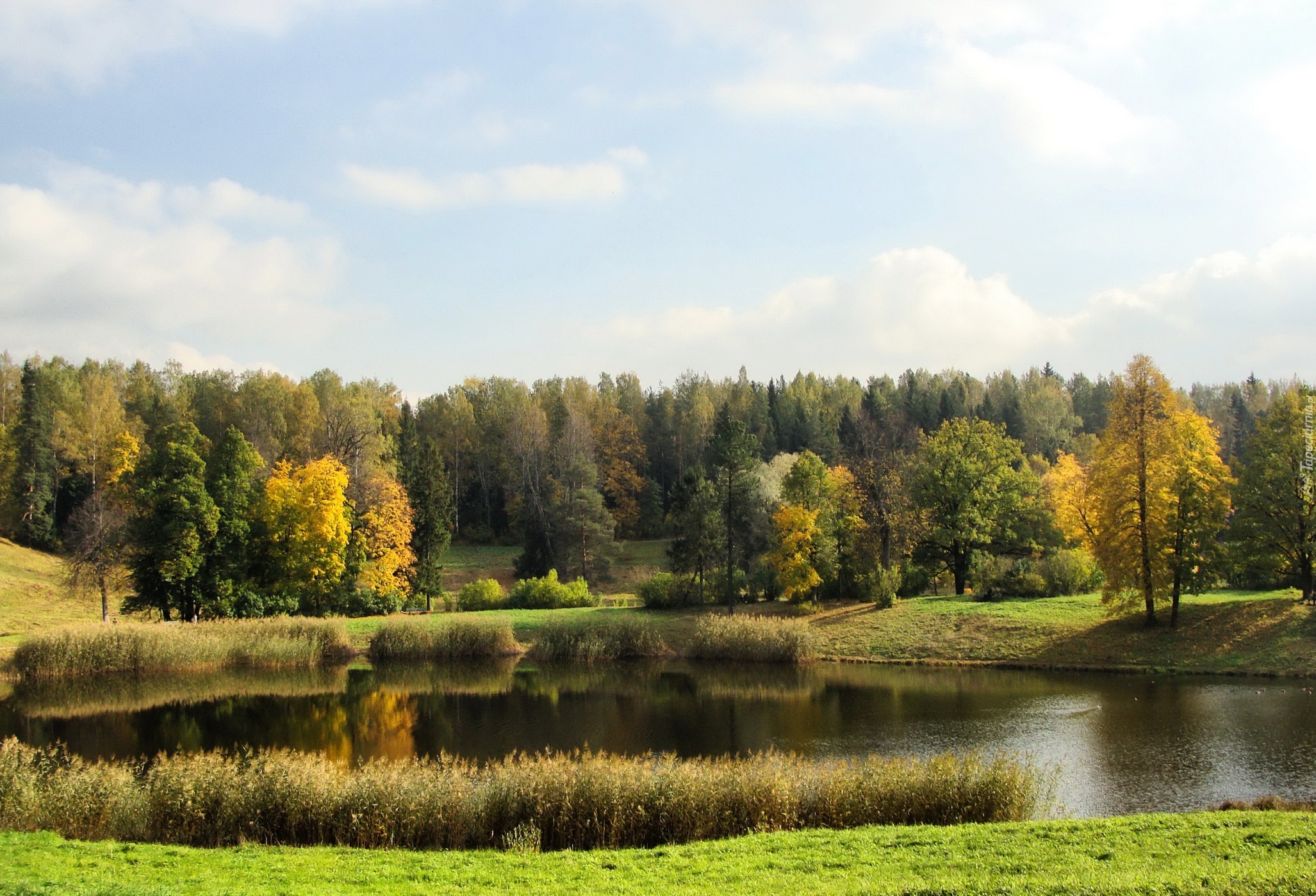 Jezioro, Lasy, Łąki, Jesień