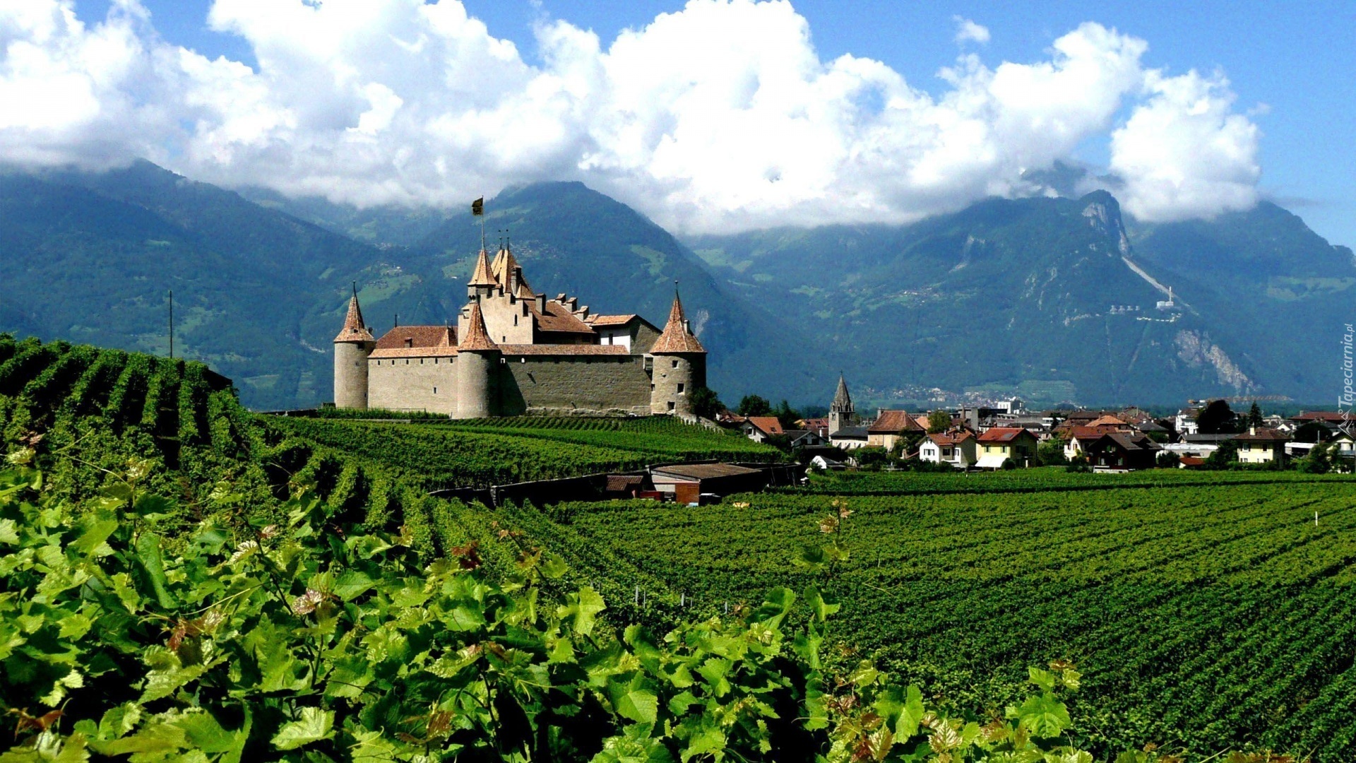 Zamek Aigle Castle, Region Chablais Vaudois, Szwajcaria, Winnice