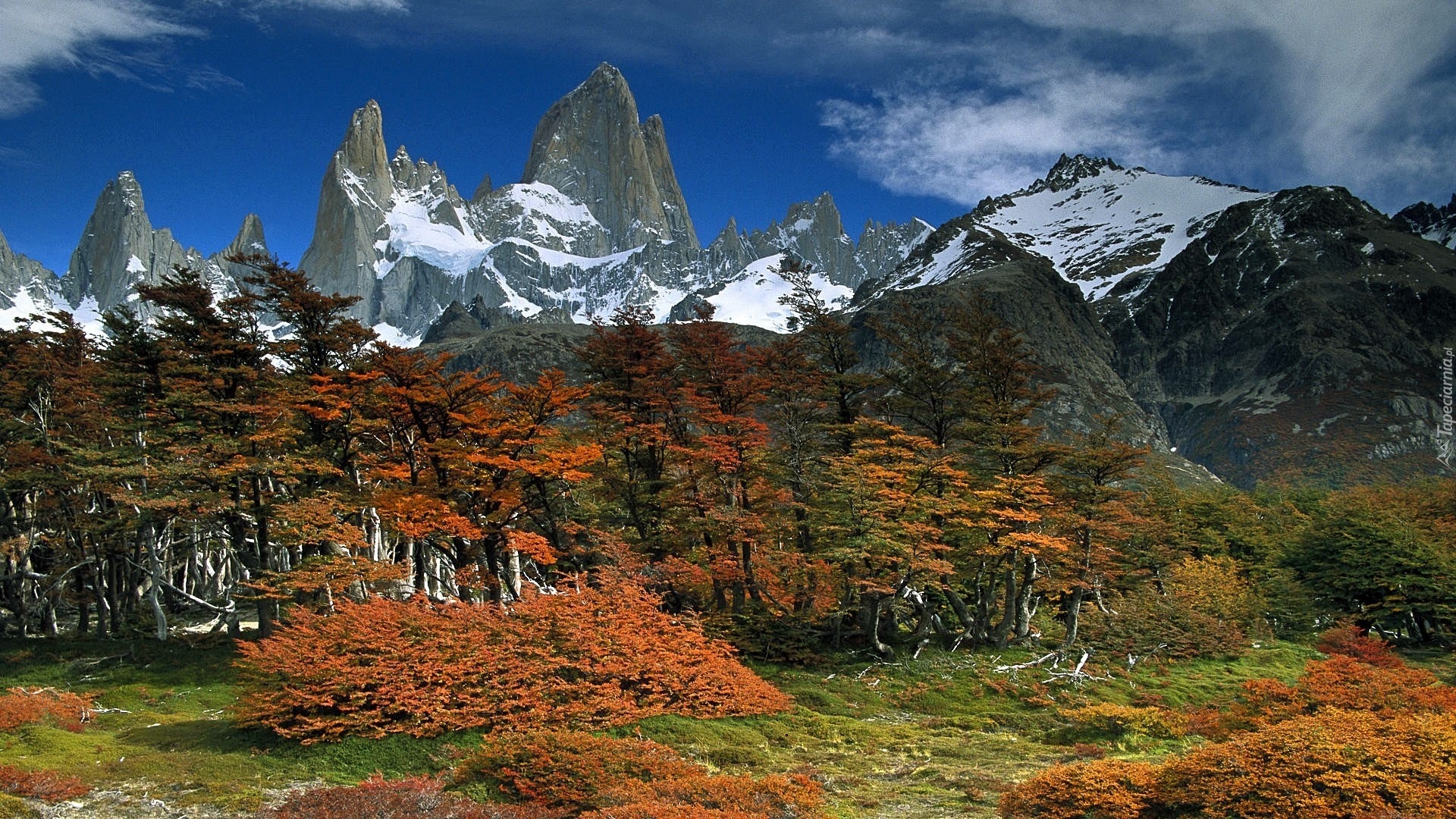 Patagonia, Park, Narodowy, Glaciares