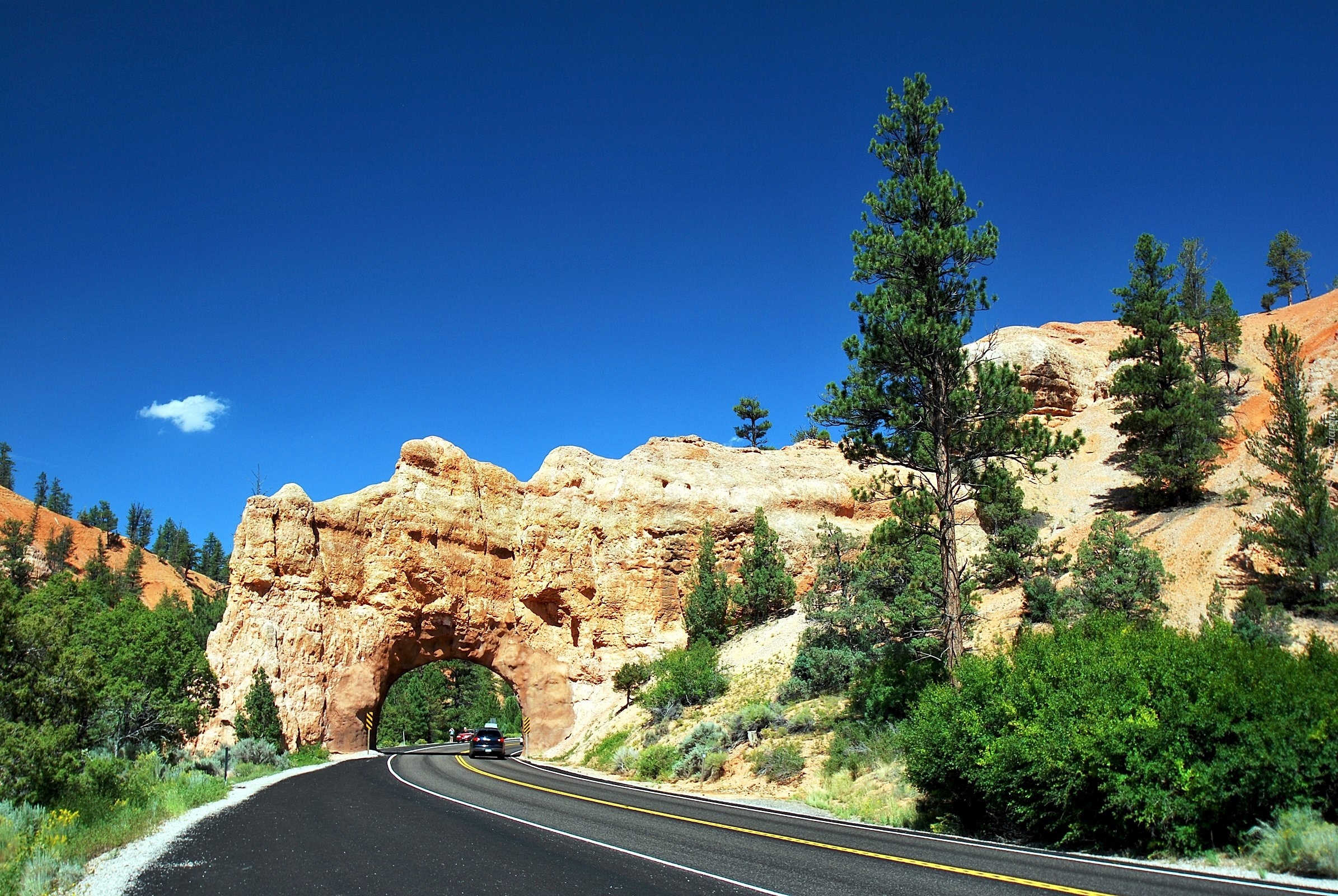 Droga, Czerwony Kanion, Utah, USA