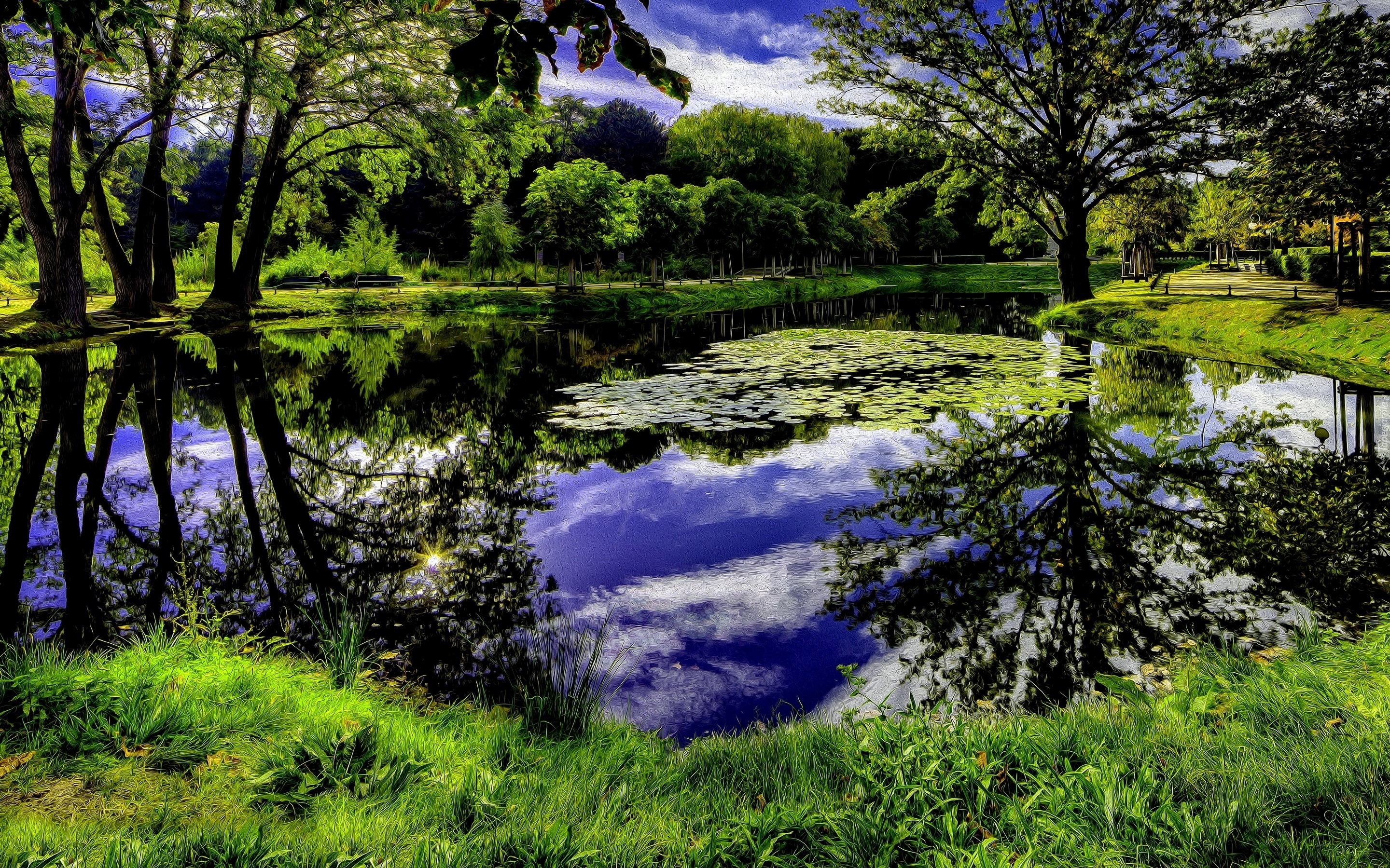 Park, Staw, Zieleń, Art