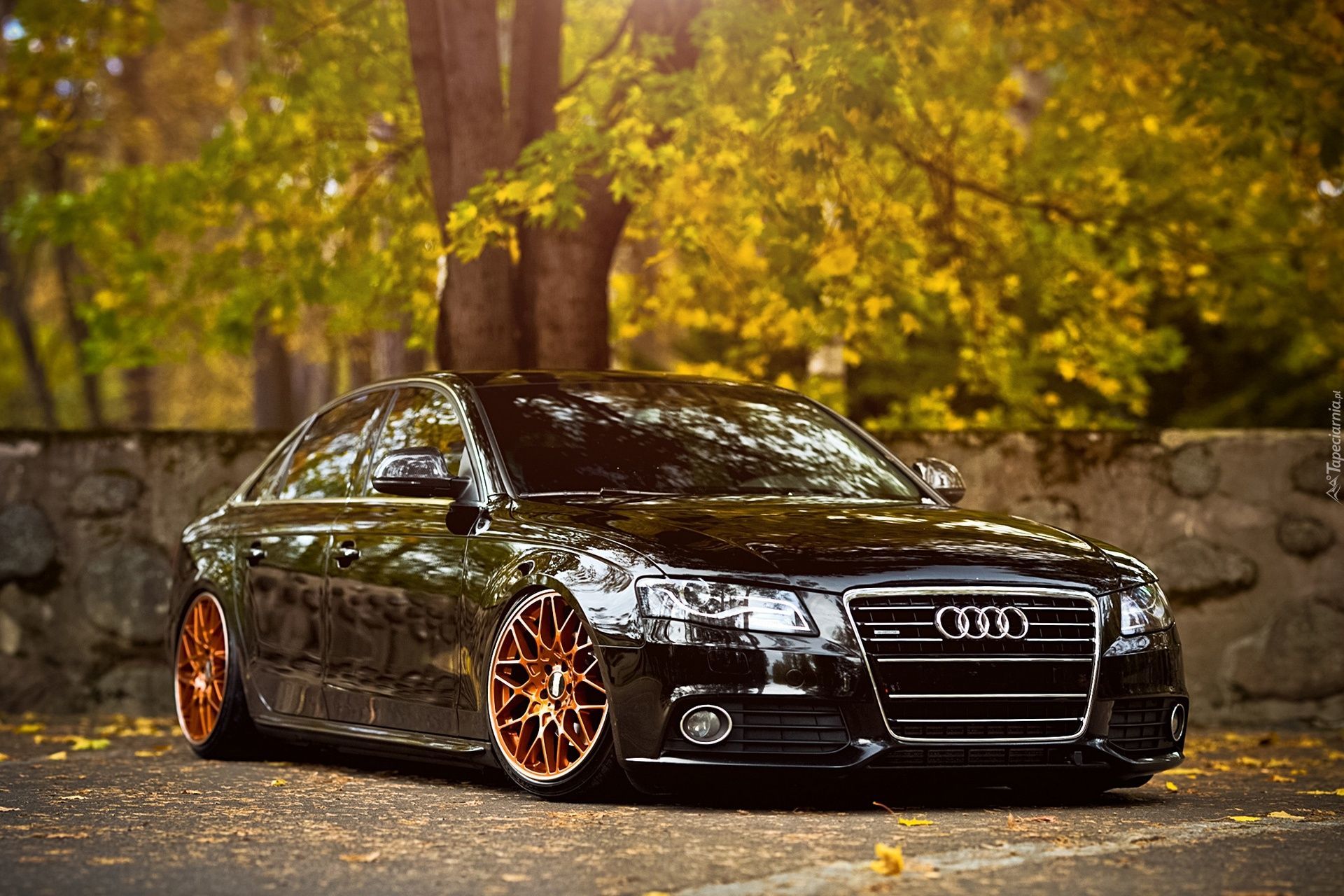 Audi, A4, B8, Blask