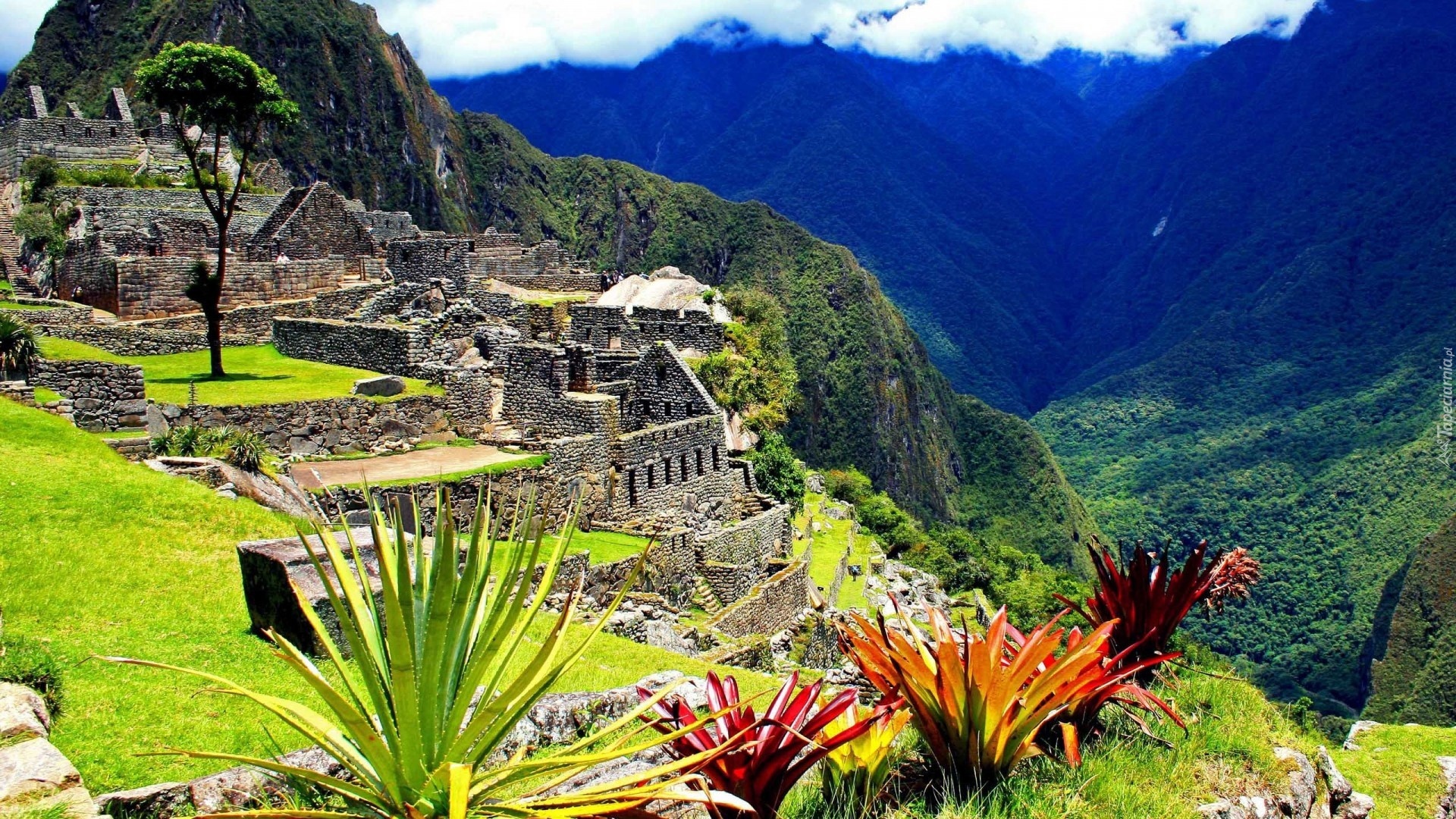 Machu Picchu, Peru