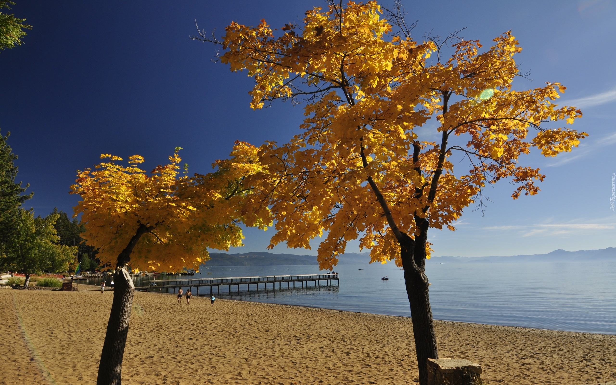 Plaża, Molo, Drzewa, Morze, Jesień