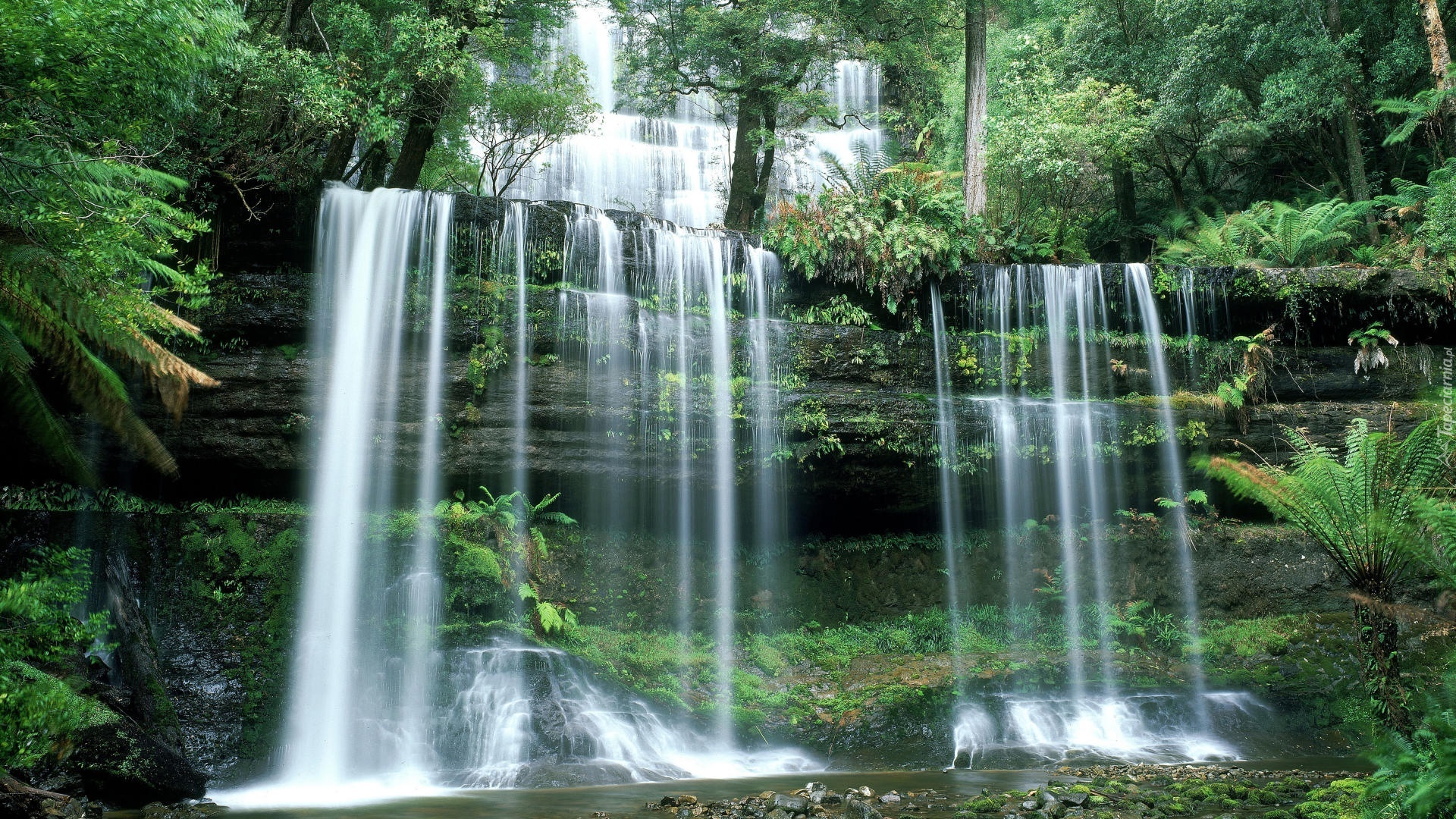 Wodospad, Russell Falls, Australia