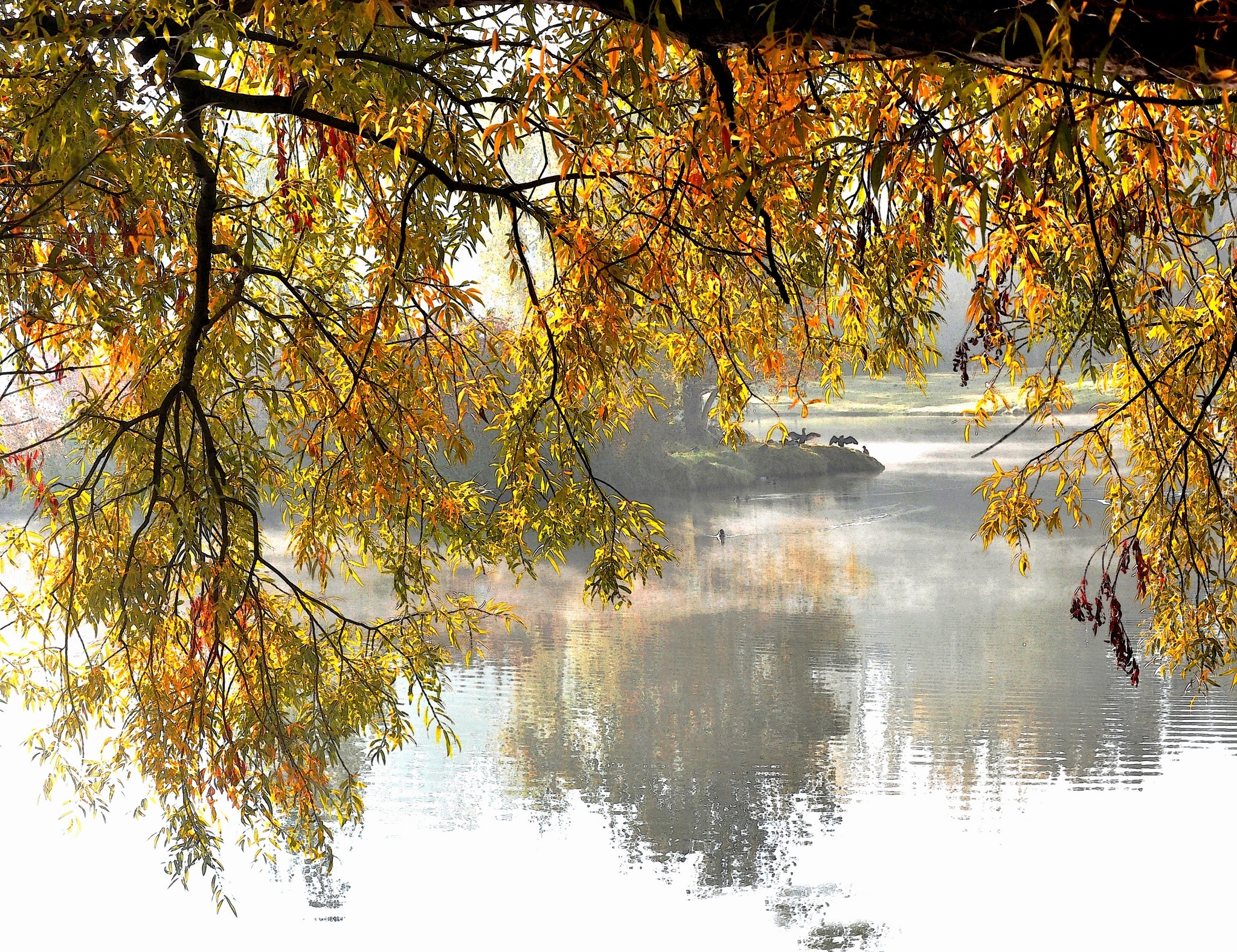 Jezioro, Liście