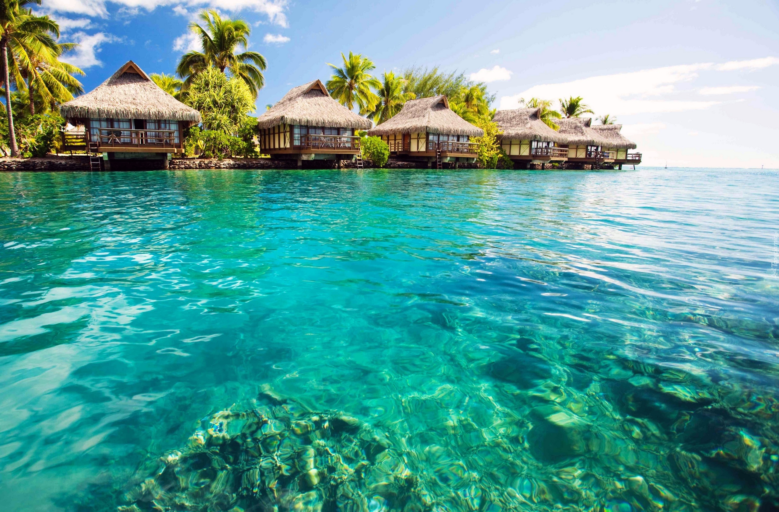 Domki, Morze, Tropiki, Malediwy