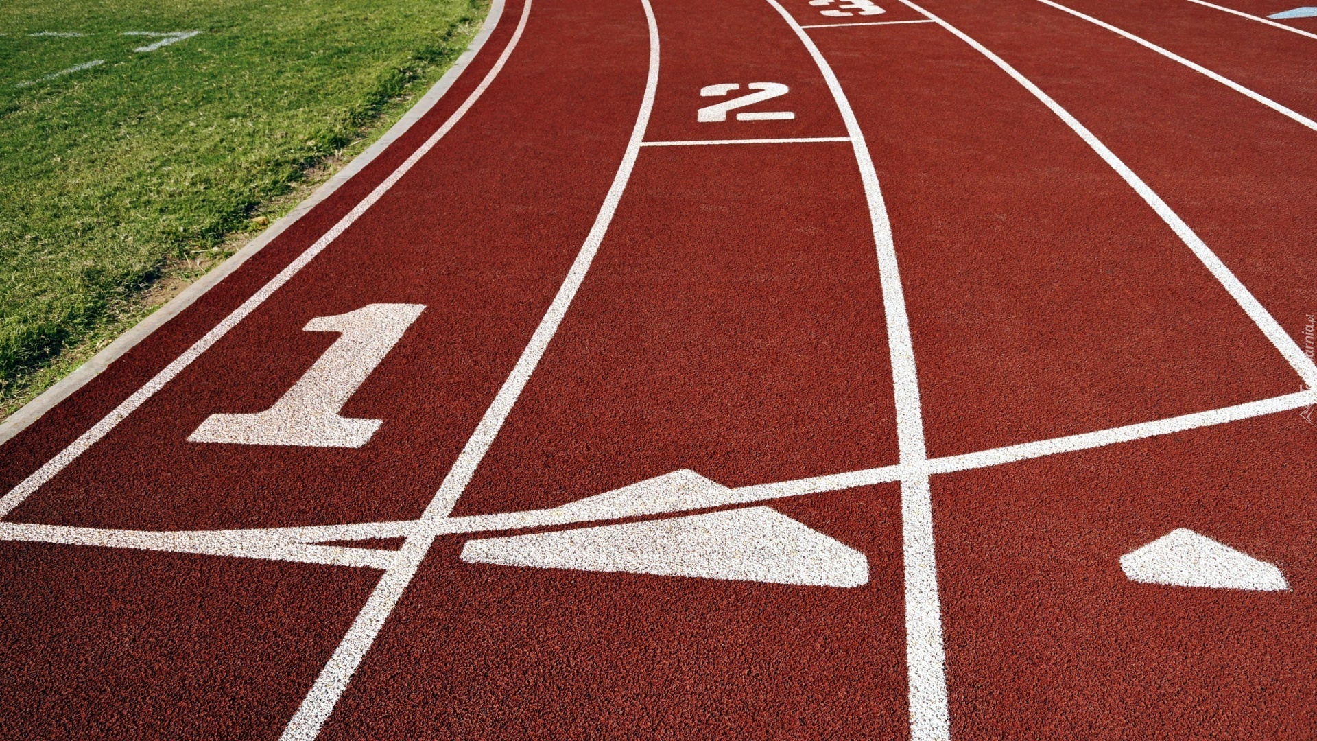 Bieżnia, Start, Lekkoatletyka