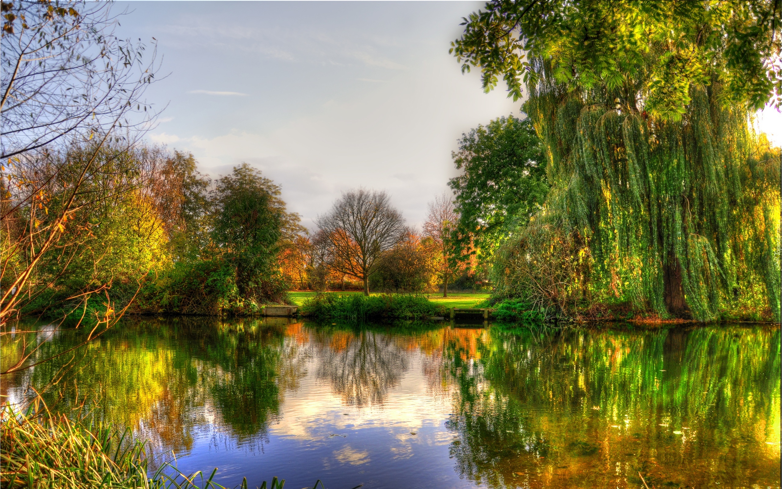 Staw, Park, Drzewa, Jesień