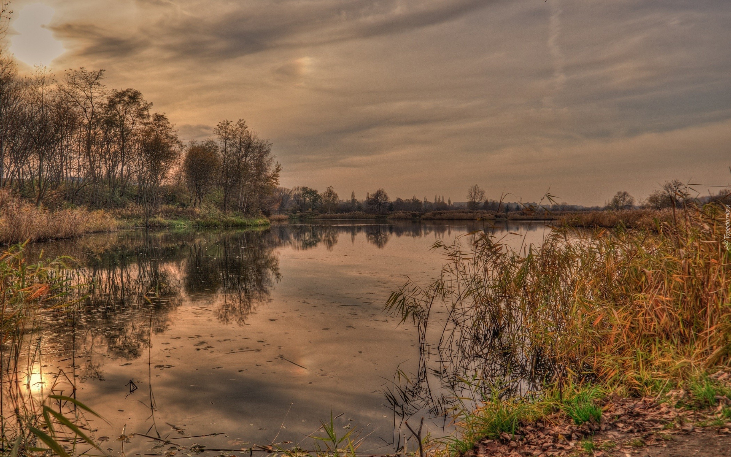 Zachód, Słońca, Jezioro, Roślinność