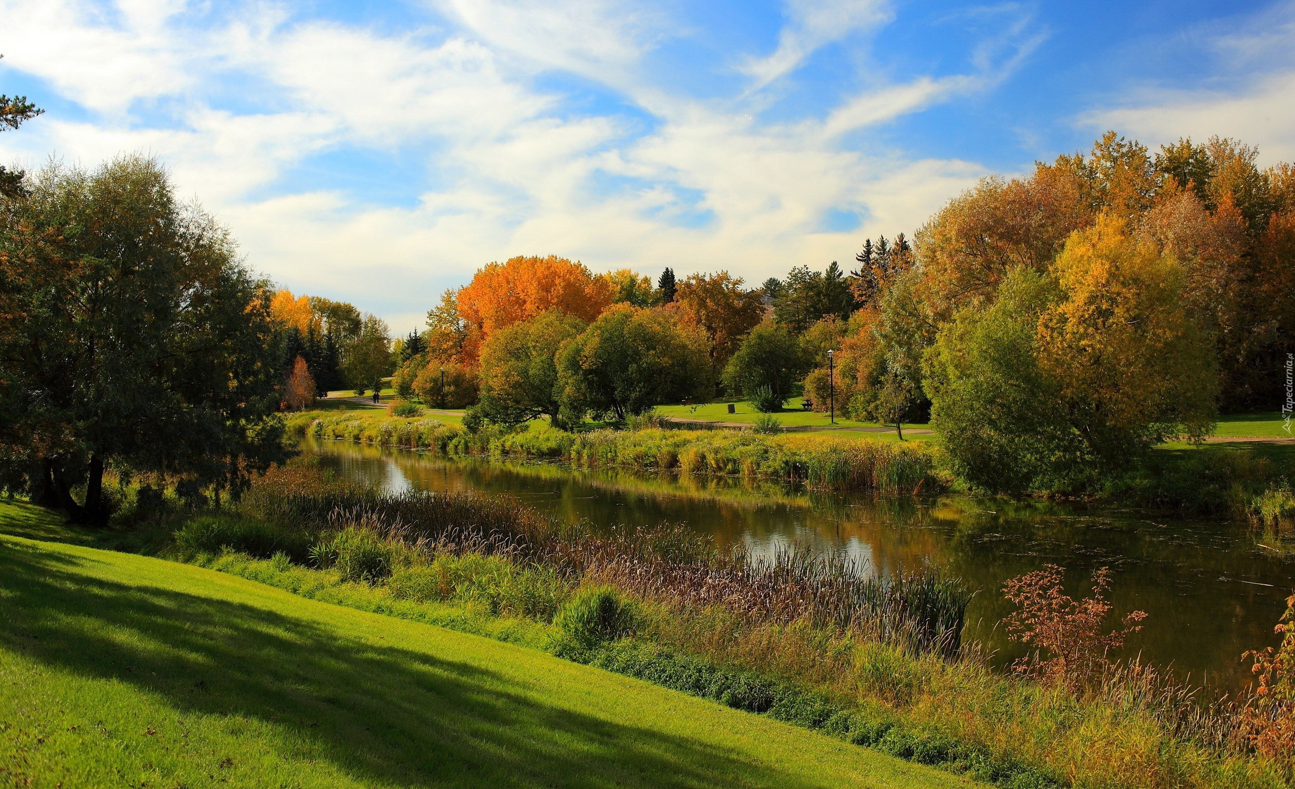 Rzeka, Park, Kolorowe, Drzewa, Jesień