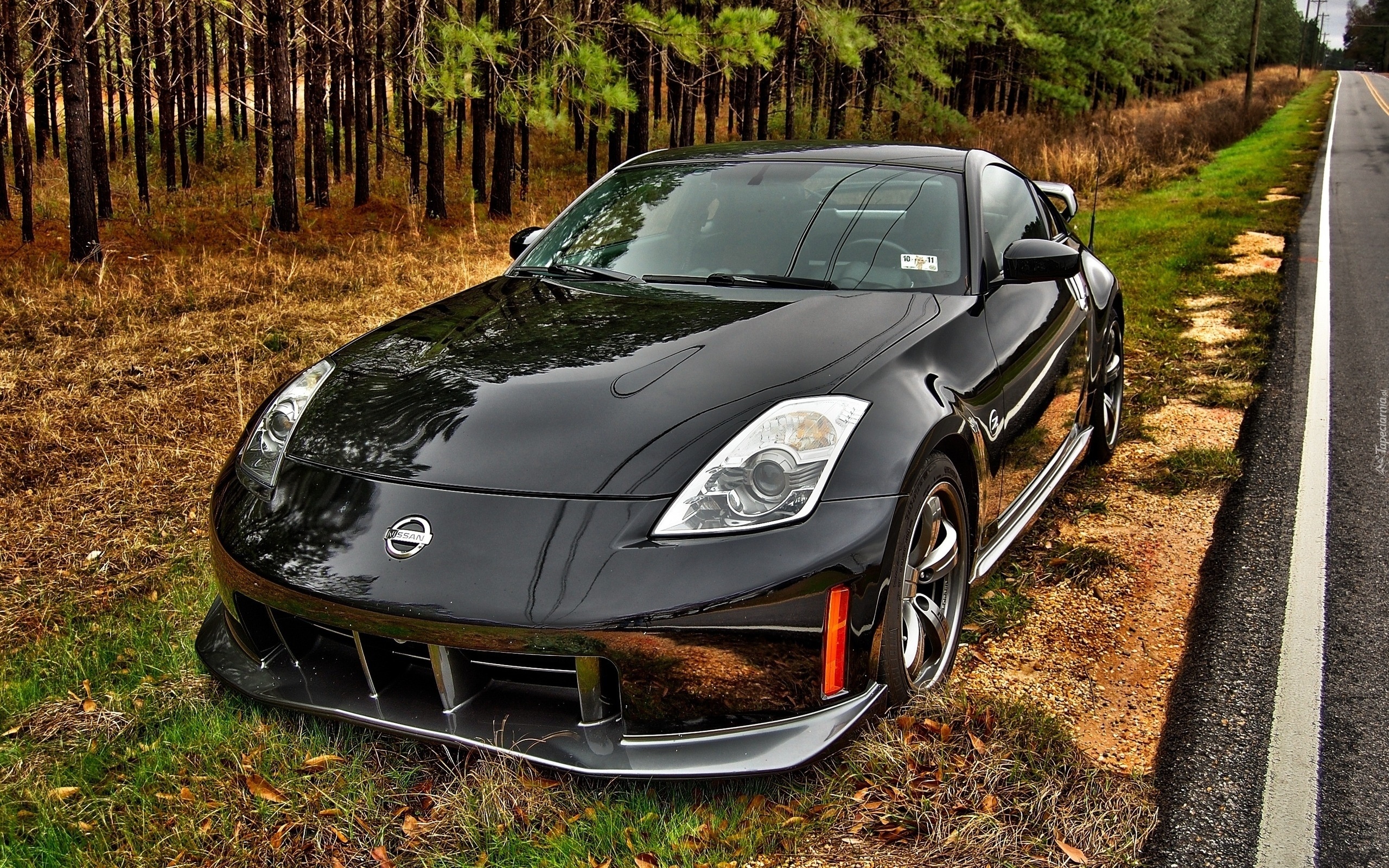 Nissan350Z, Las, Pobocze