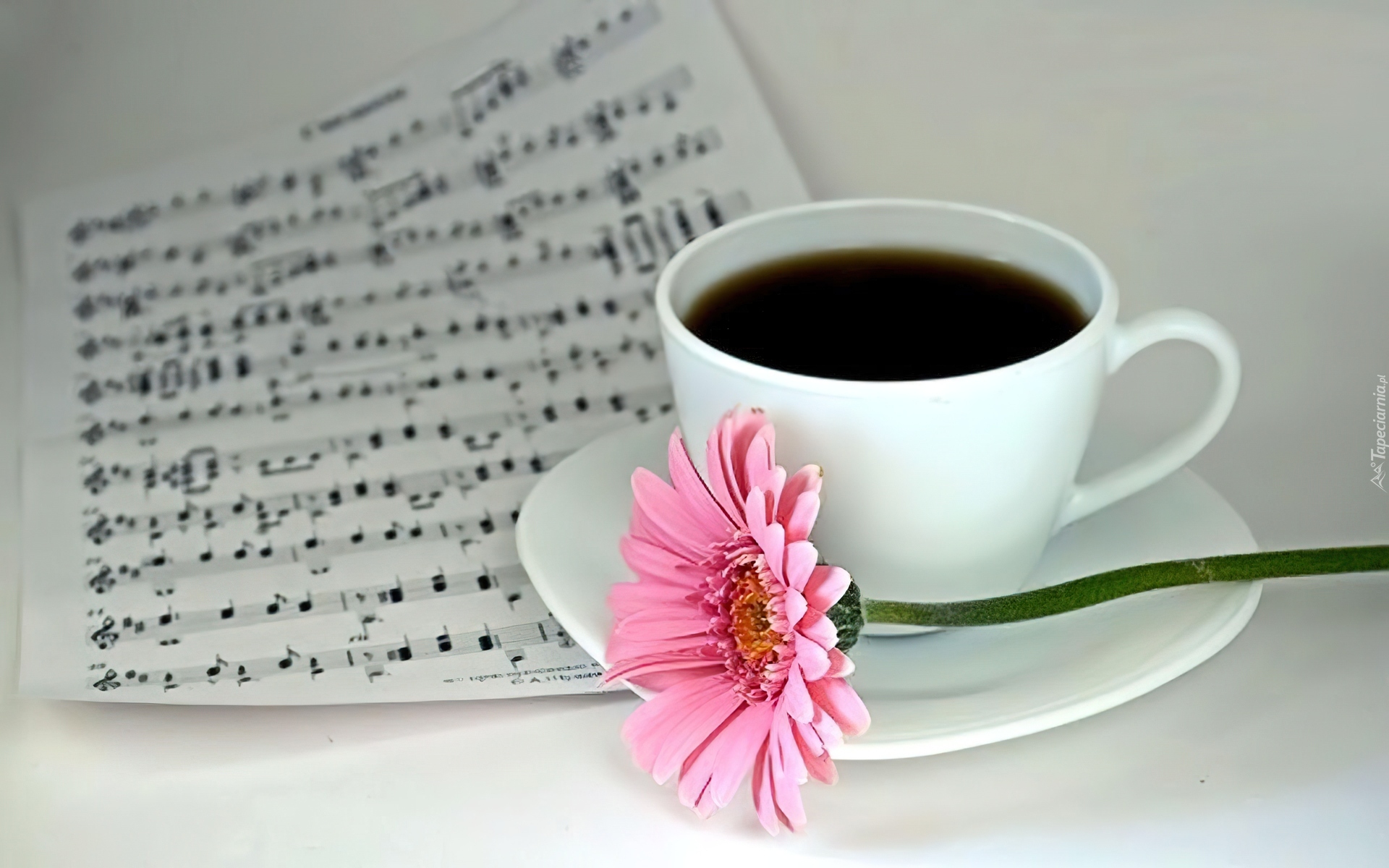 Веселая утренняя музыка. С добрым утром картинки красивые. Фото чашка кофе и цветы. Стильные пожелания с добрым утром. Кофе и цветы красивая композиция.