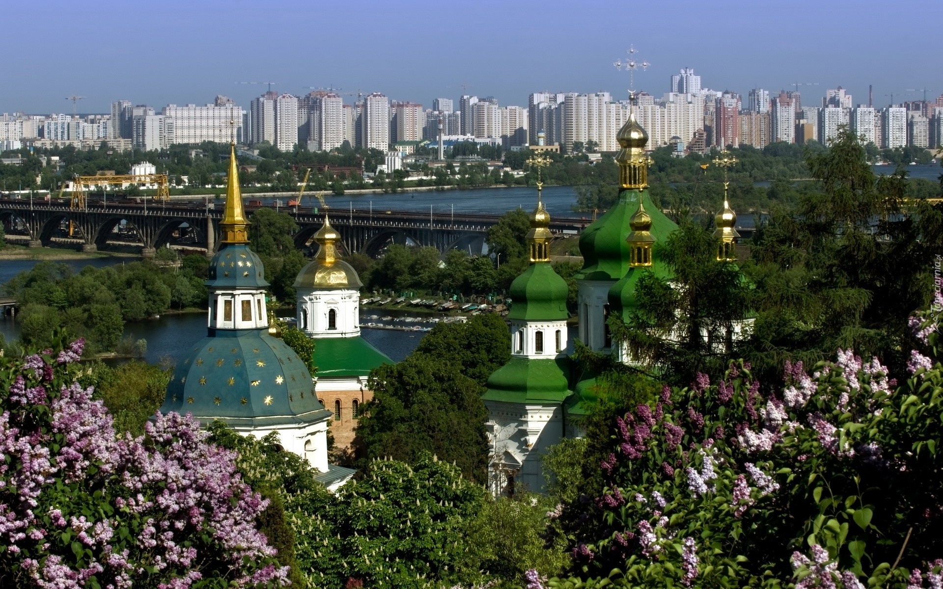 Panorama, Kijowa, Kwitnące, Bzy