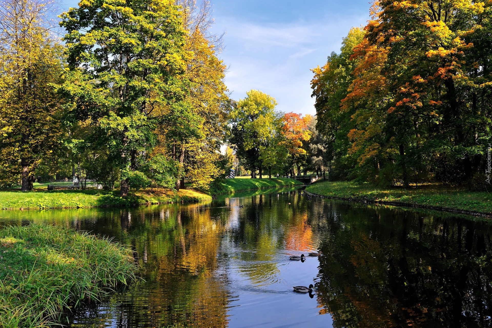 Jesień, Park, Rzeka, Odbicie