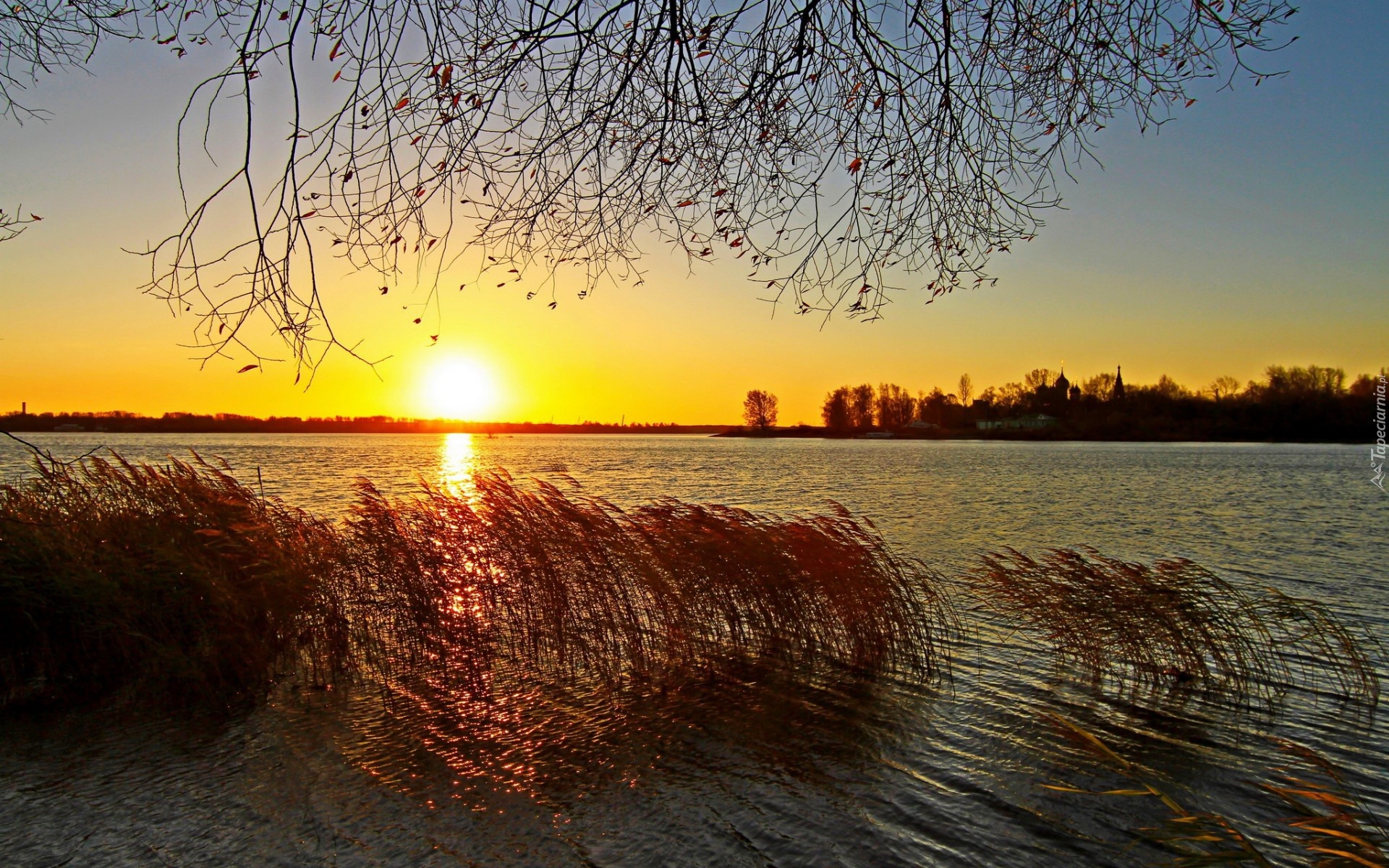 Jezioro, Trzciny, Drzewa, Wschód, Słońca