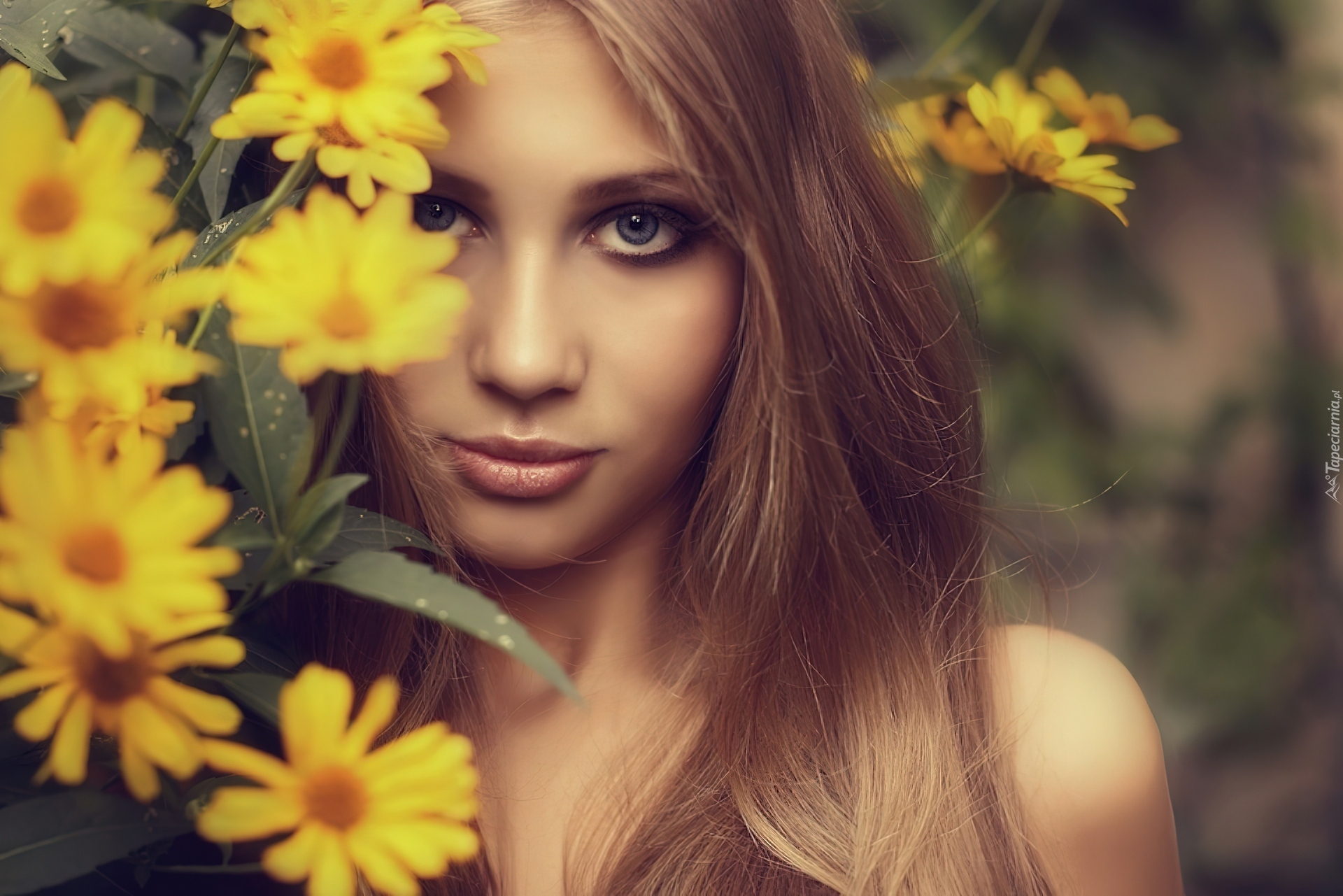 Żółte, Kwiaty, Twarz, Oczy