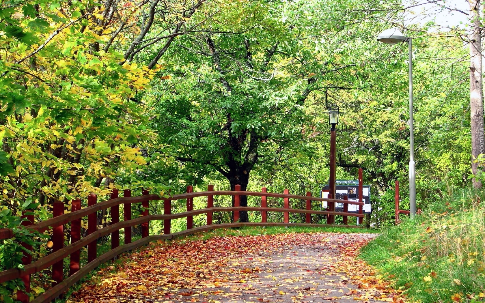 Park, Aleja, Ogrodzenie, Opadłe, Liście