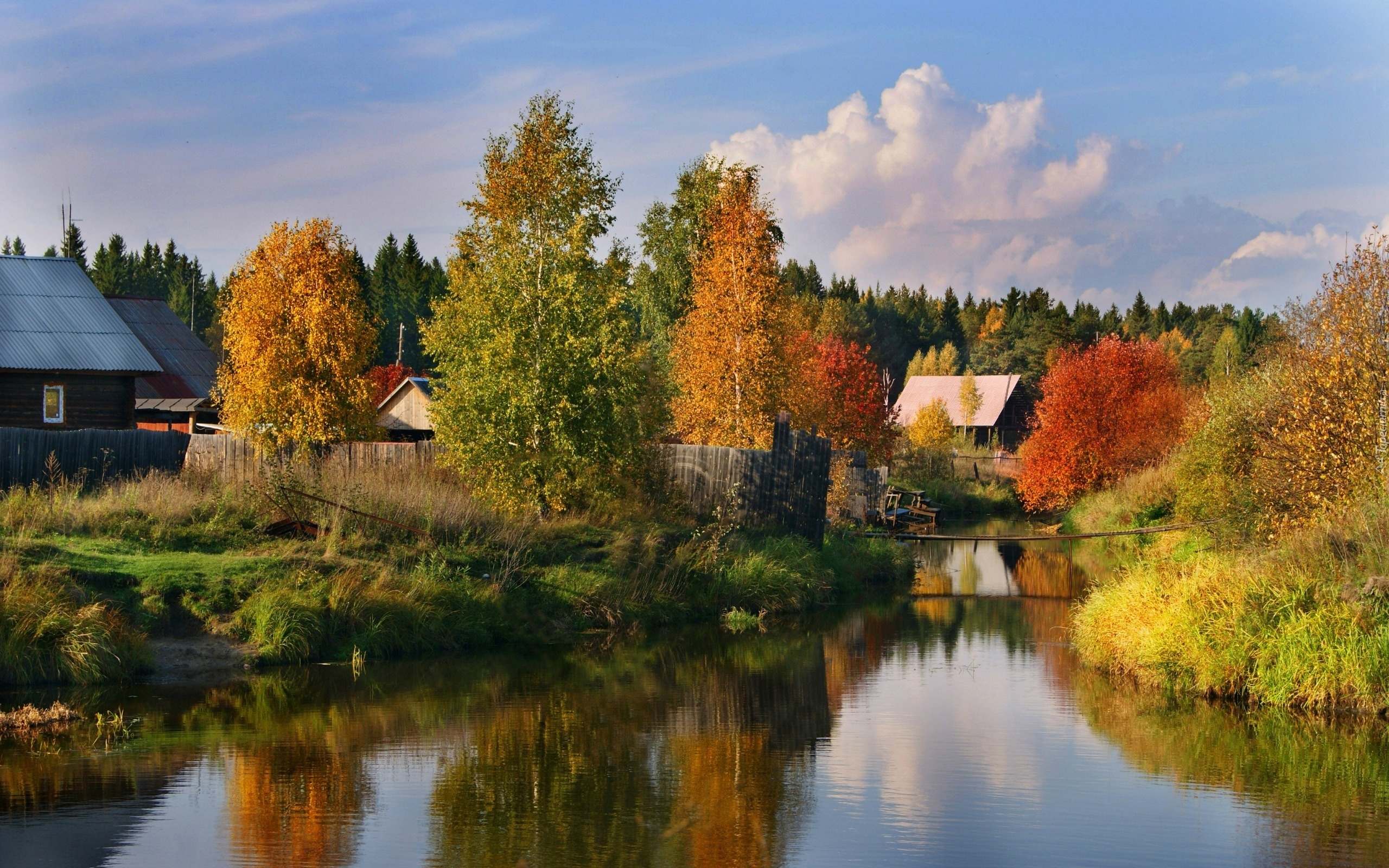 Rzeczka, Zabudowania, Las, Kolorowe, Drzewa, Jesień