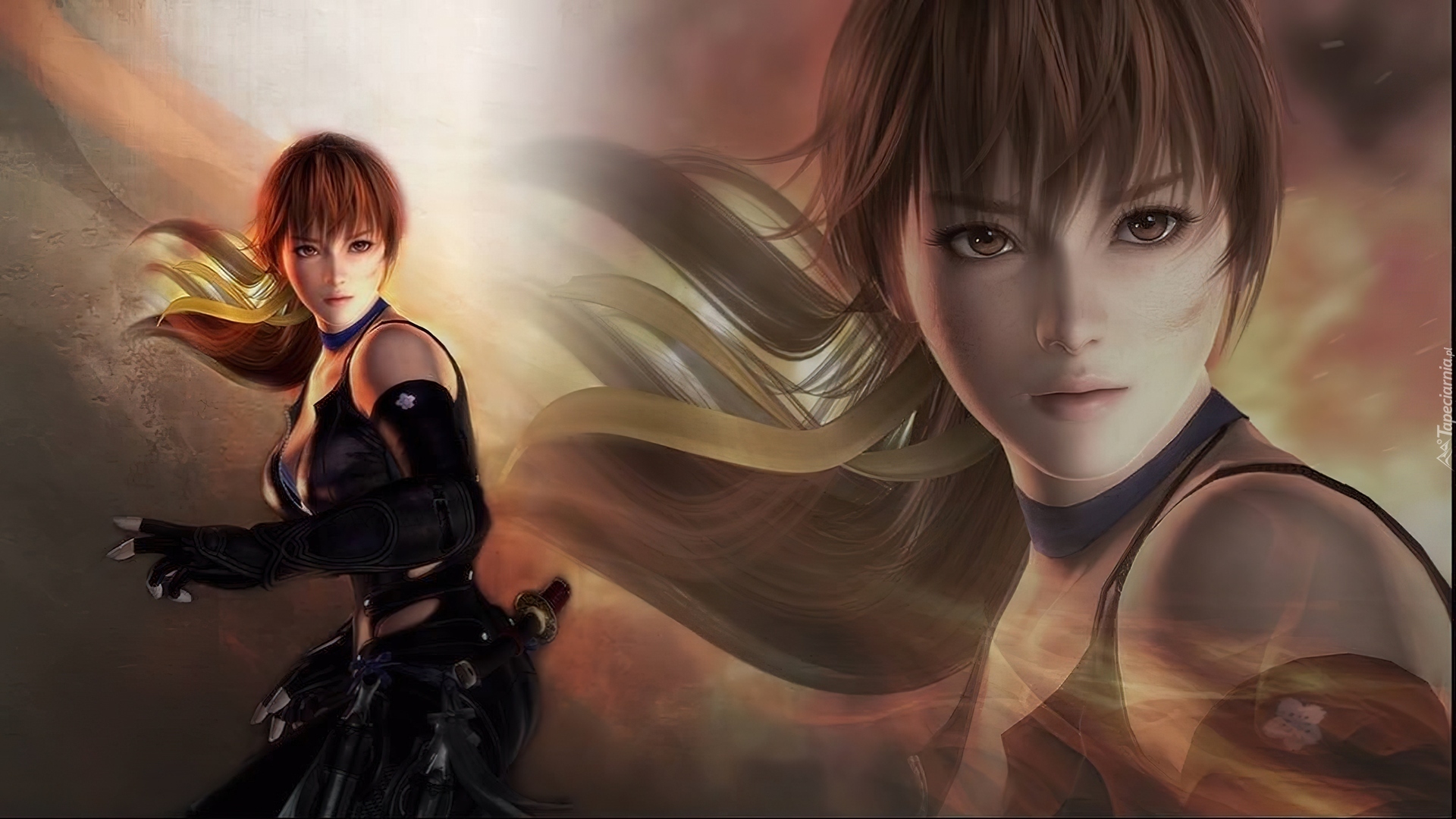 Dead Or ALive 5, Kasumi