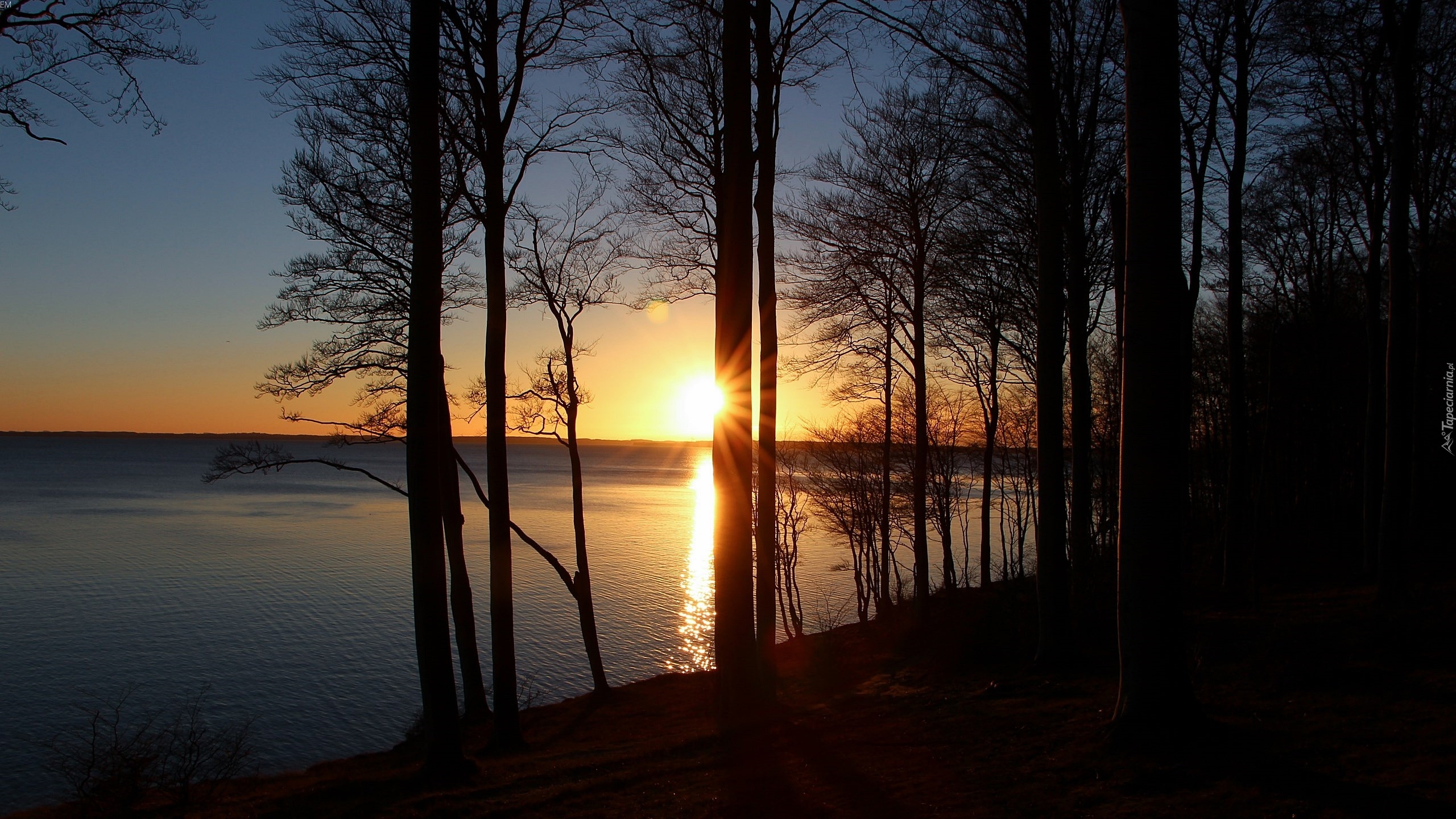 Jezioro, Las, Zachód Słońca