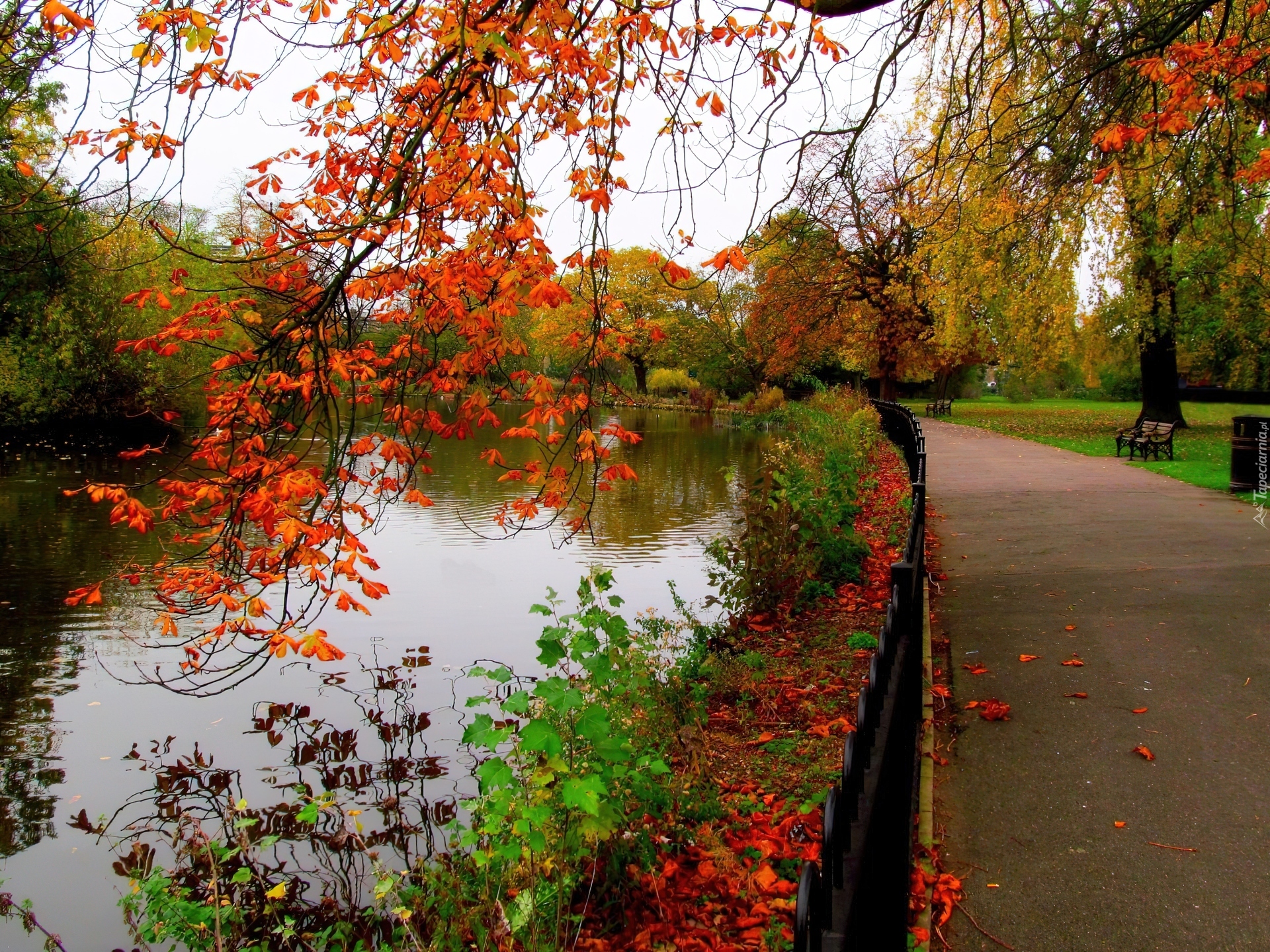 Park, Aleja, Staw, Ławki, Jesień, Drzewa