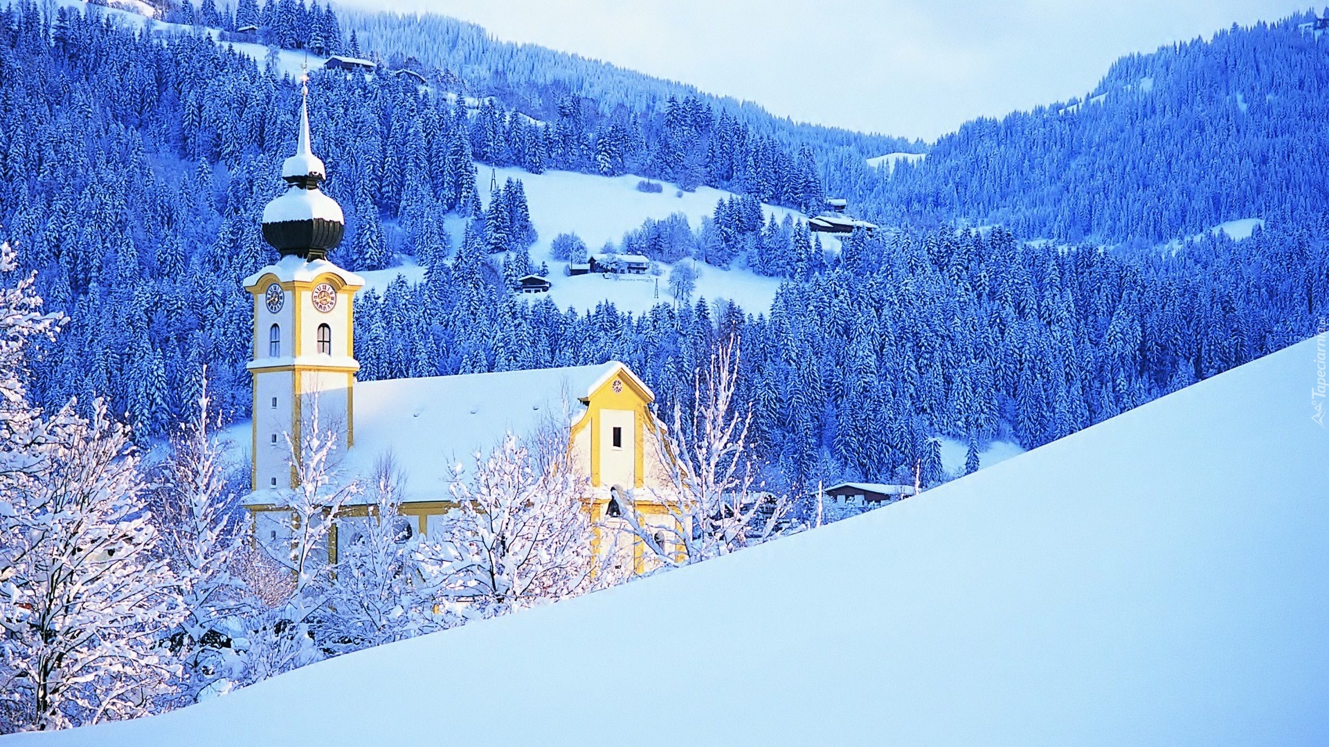 Kościół, Las, Śnieg
