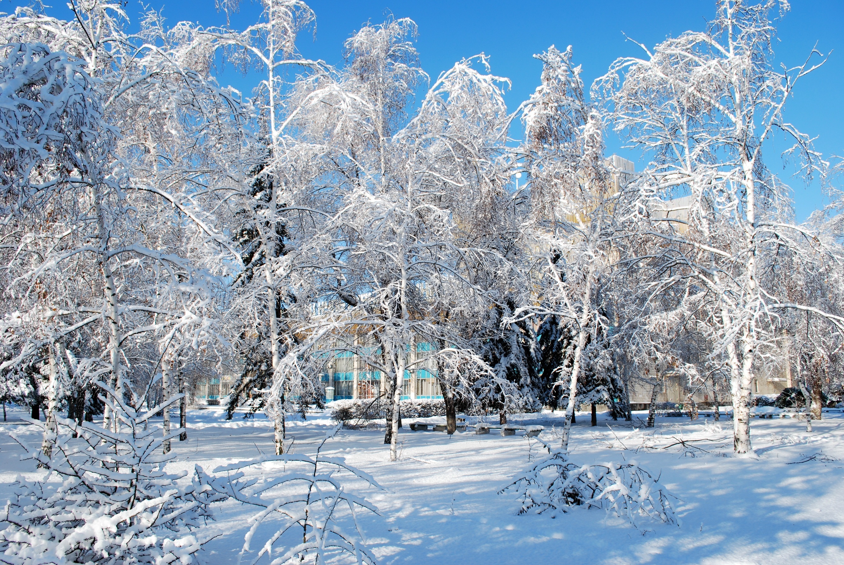 Park, Alejki, Ławki, Zima